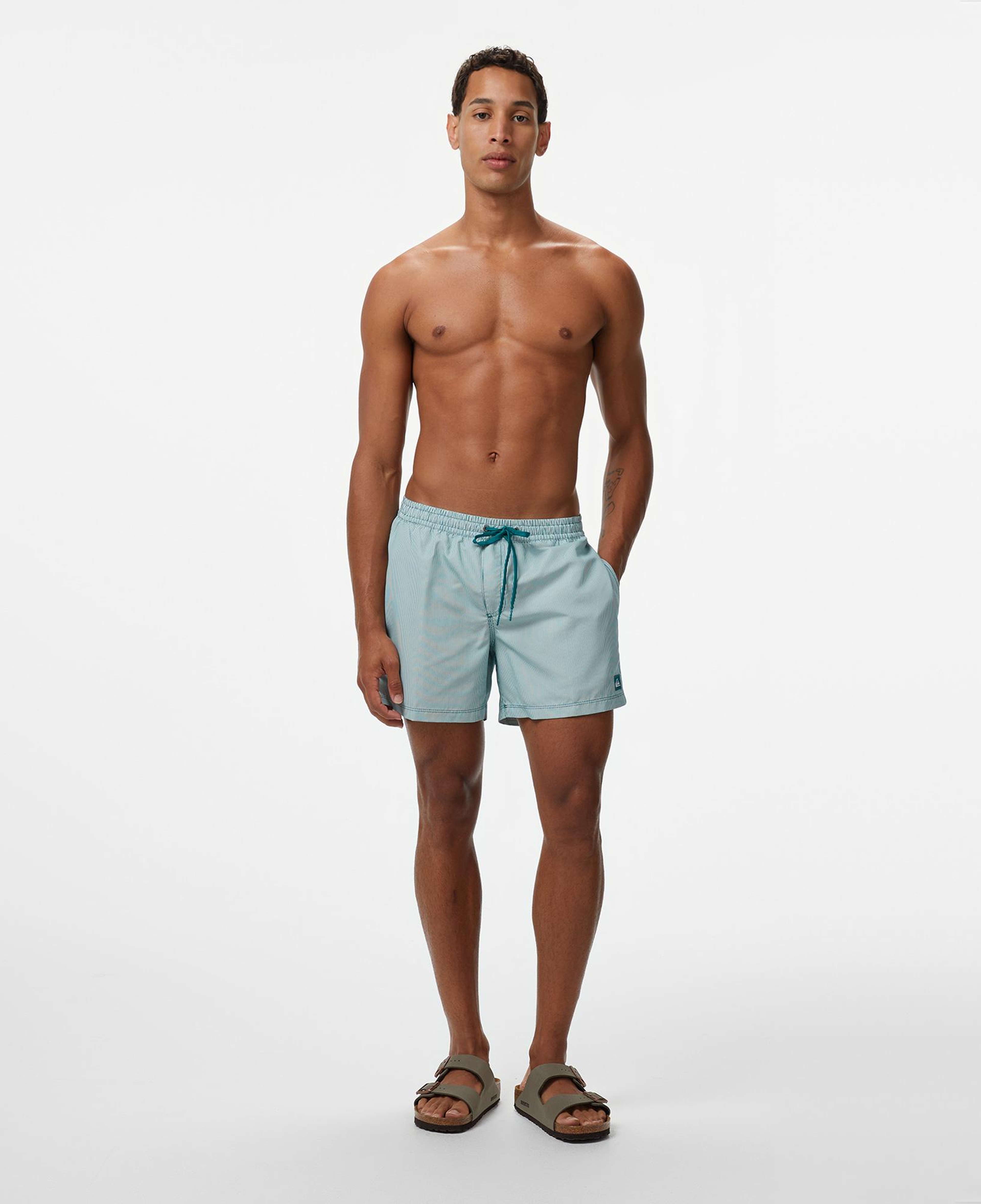 Quiksilver Everyday Deluxe Volley 15 Erkek Mavi Deniz Şortu