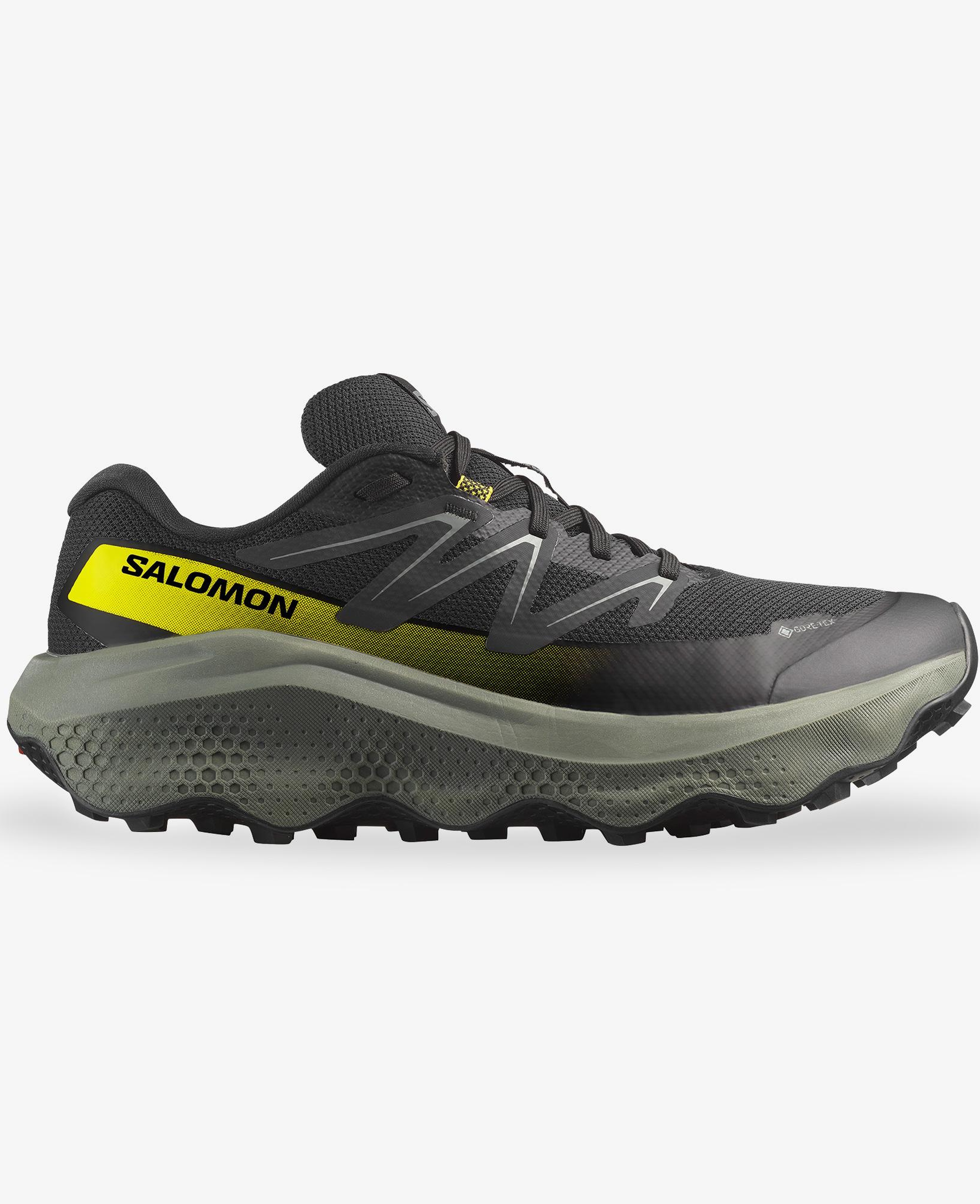 Salomon Ultra Flow 2 Gore Tex Erkek Siyah Koşu Ayakkabısı