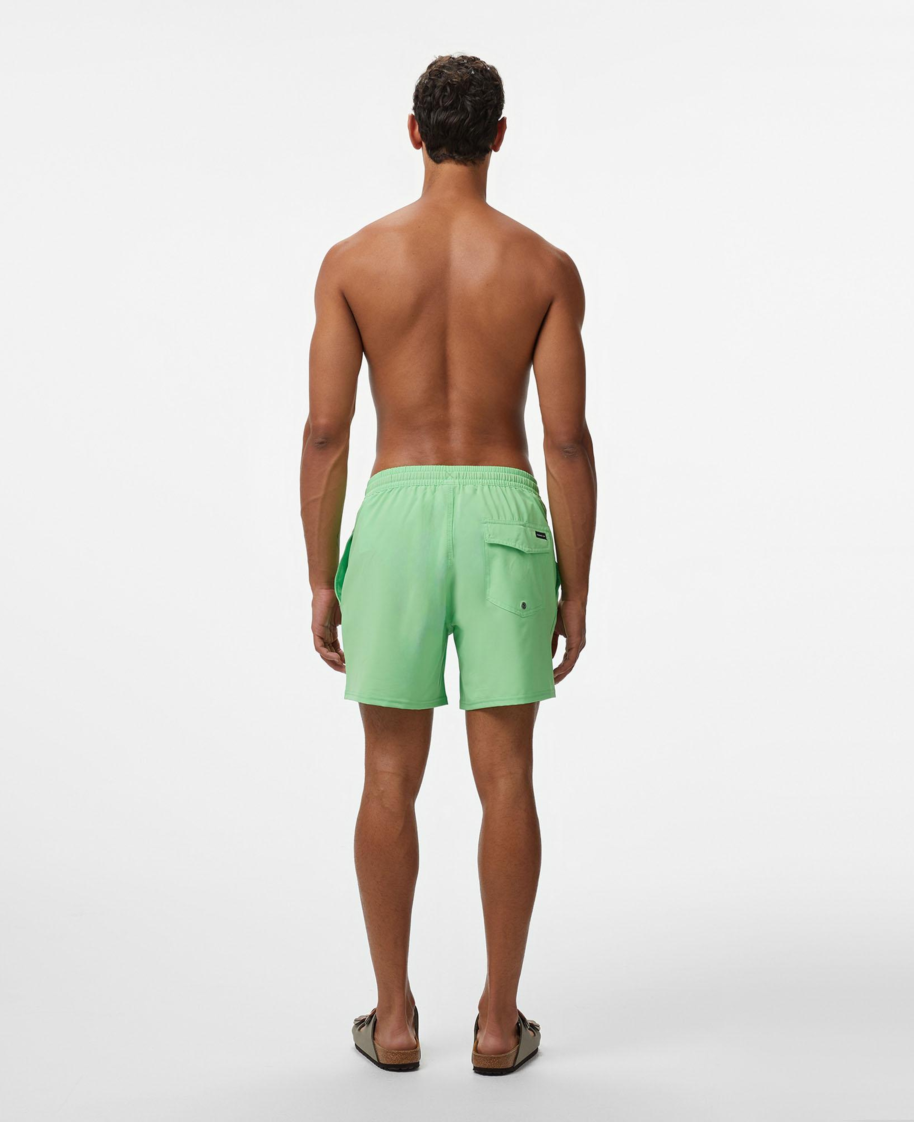 Quiksilver Surfsilk Solid Volley 16 Erkek Yeşil Deniz Şortu