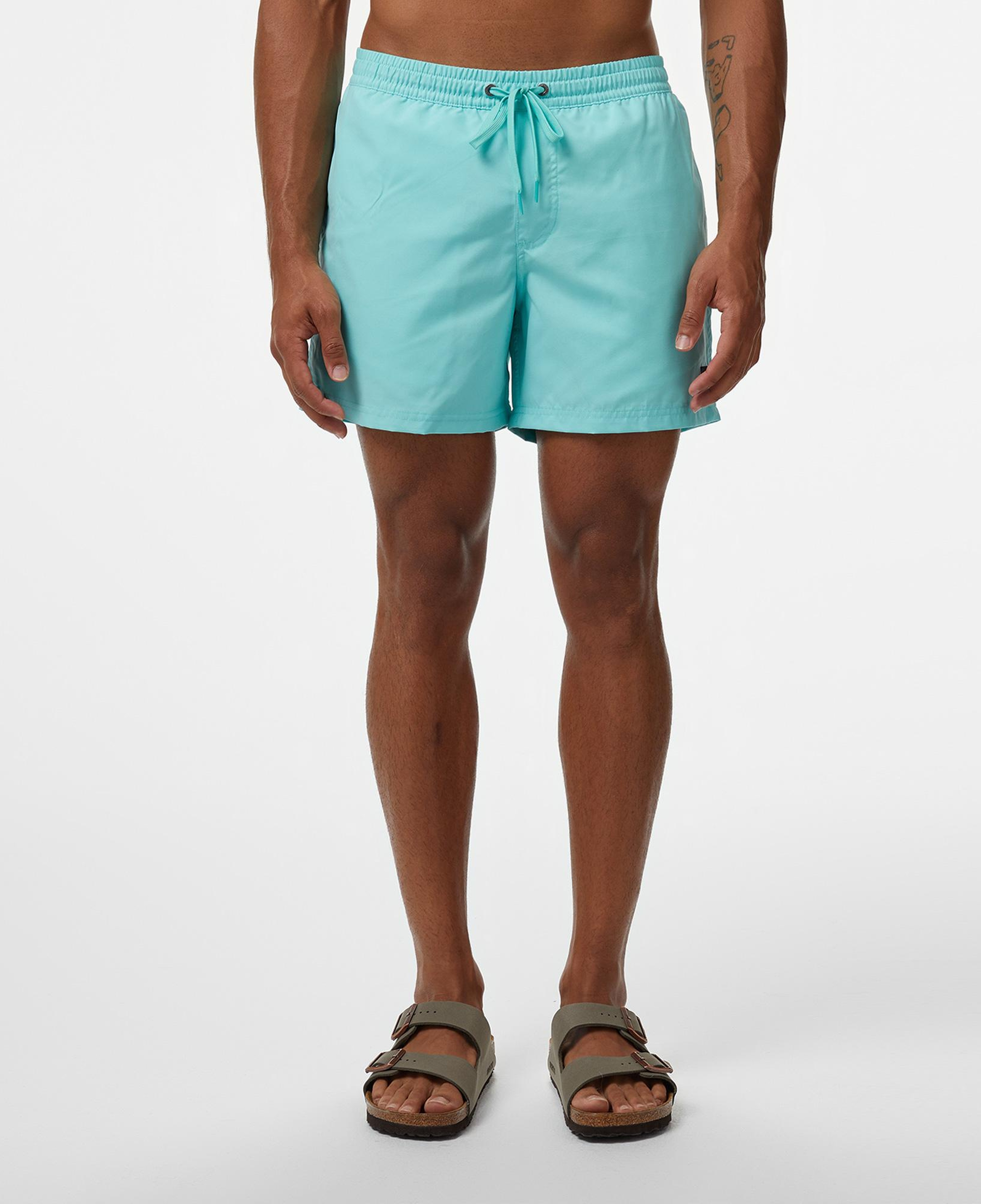 Quiksilver Everyday Solid Volley 15 Erkek Mavi Deniz Şortu