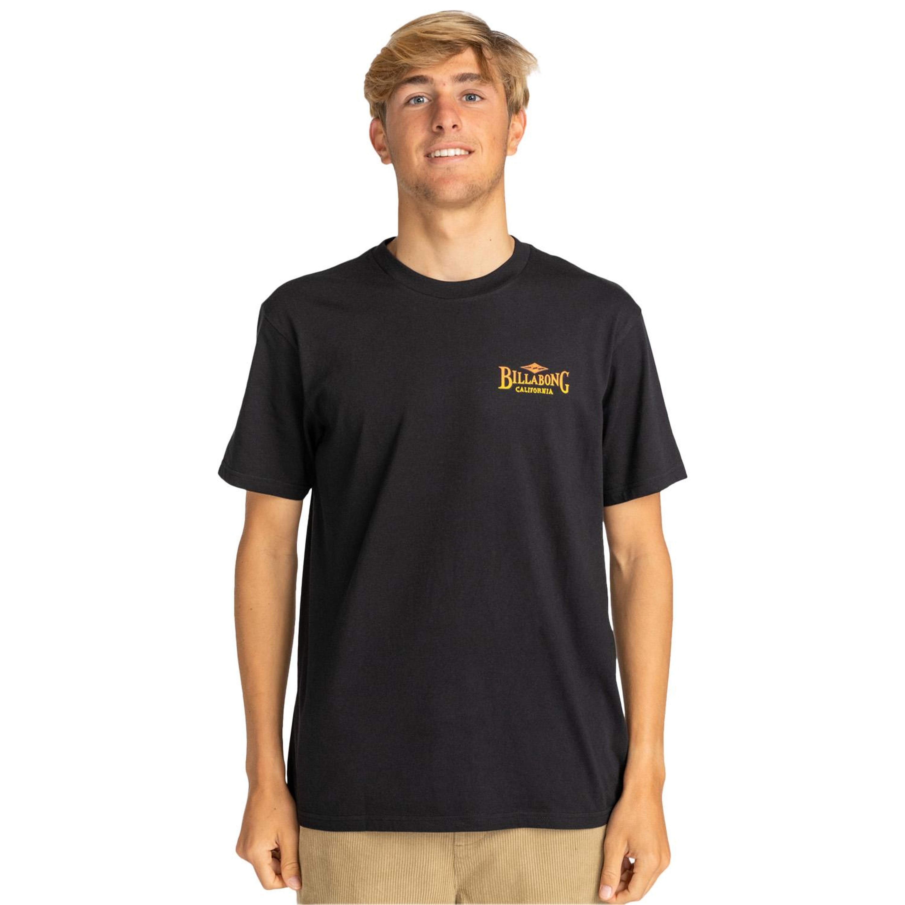 Billabong Dreamy Place Tees Erkek Siyah Tişört