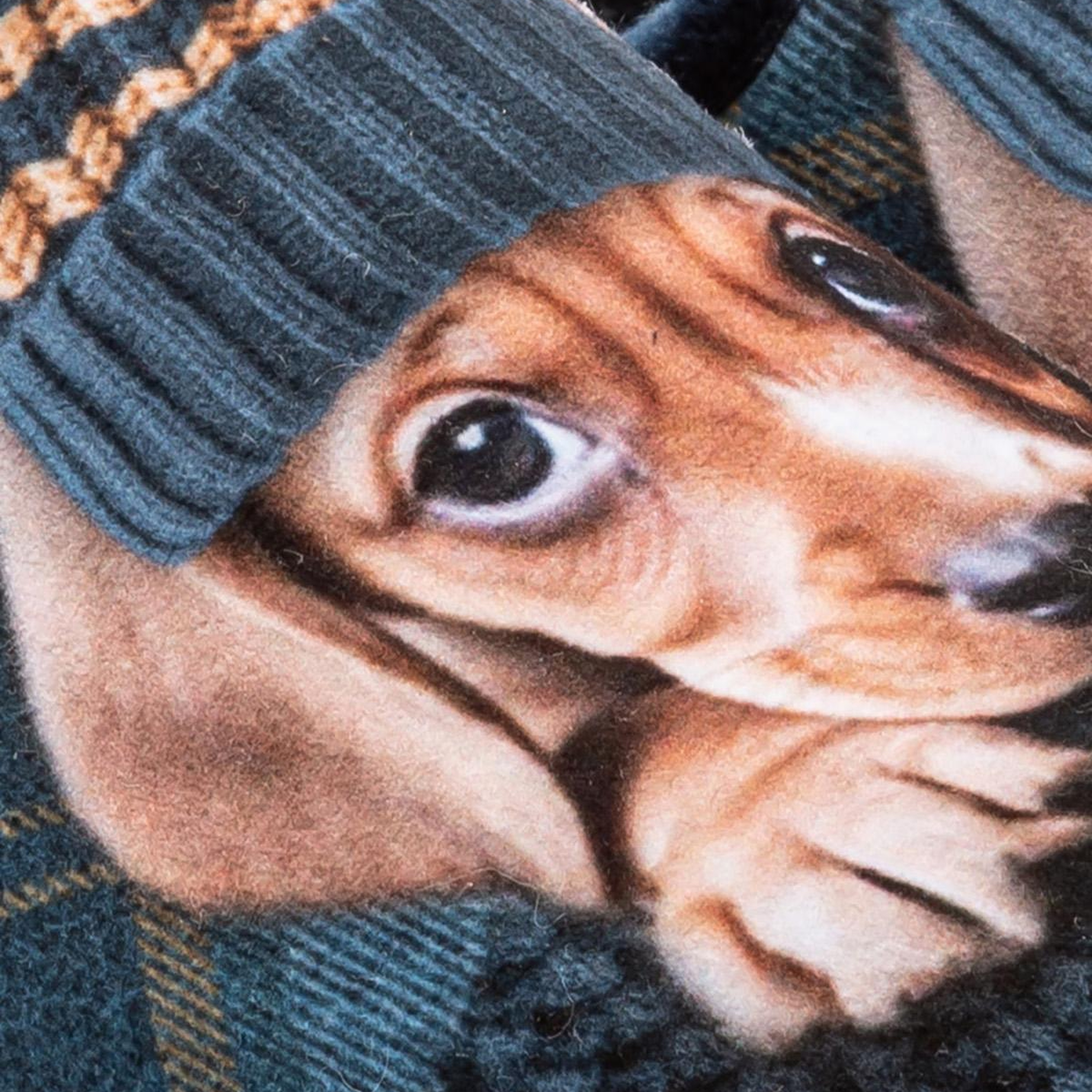 Cooper Kadın Ev Terliği Lacivert 37/41