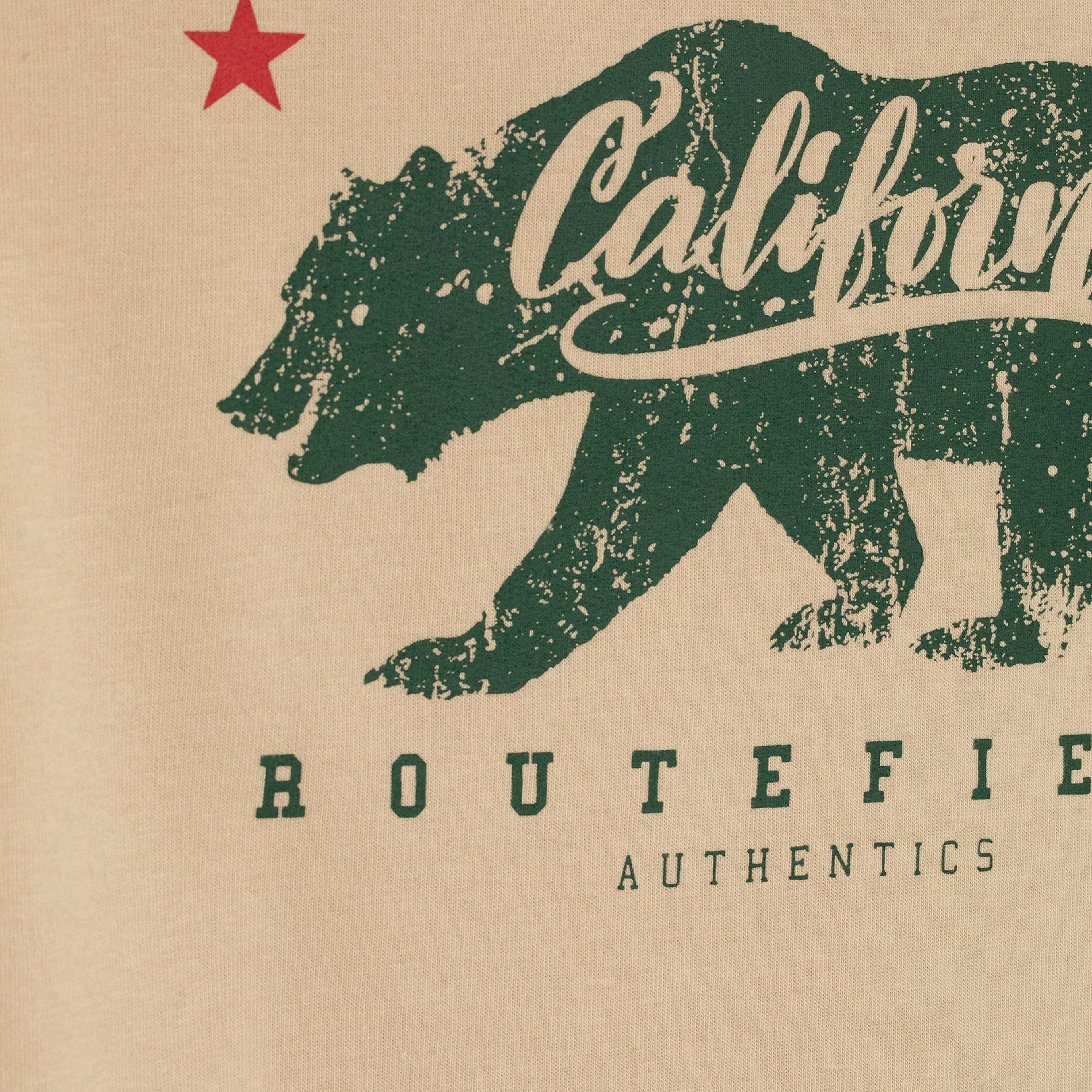 Routefield Home Erkek Kahverengi Sweatshirt