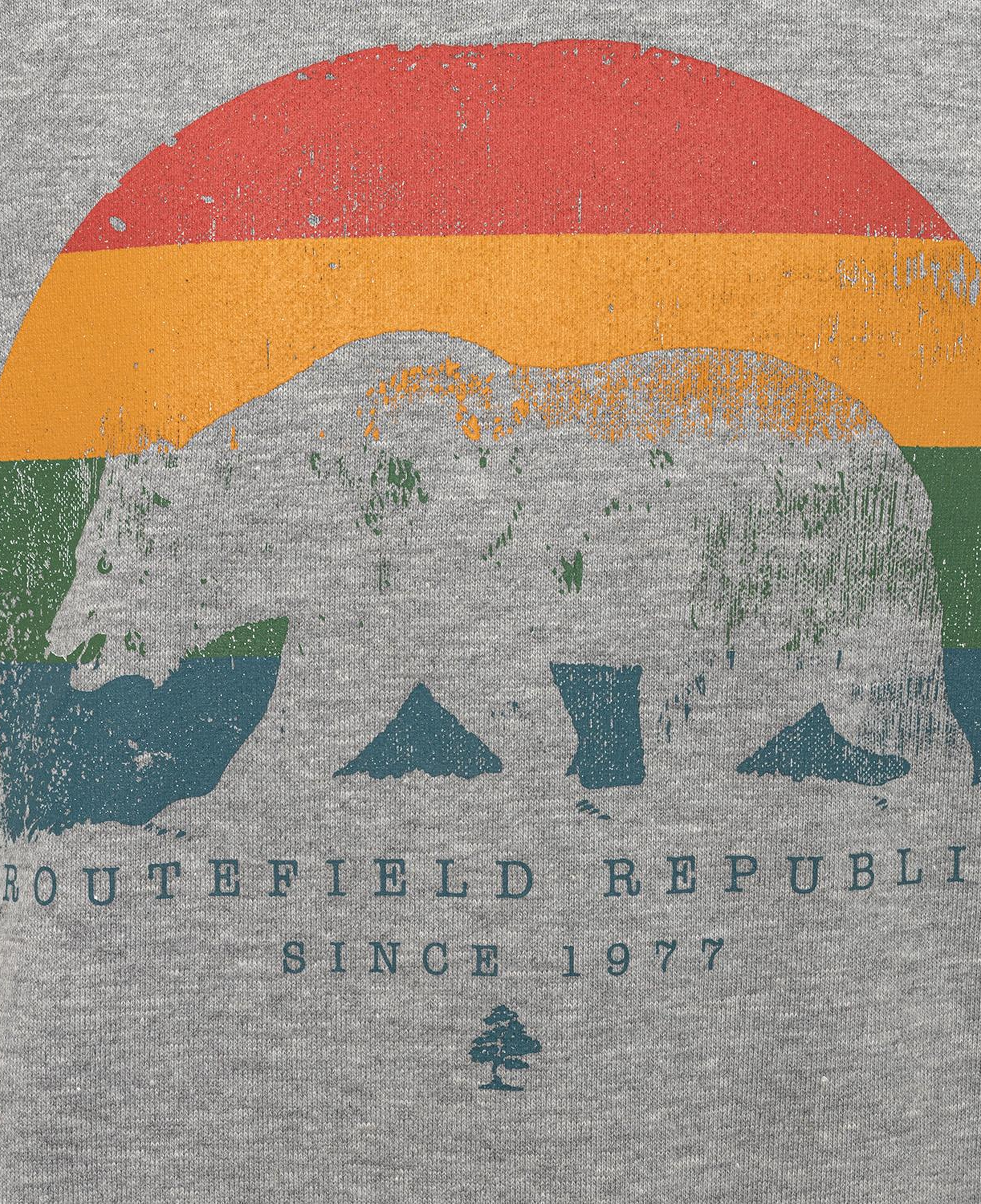 Routefield Homer Unisex Çocuk Gri Sweatshirt