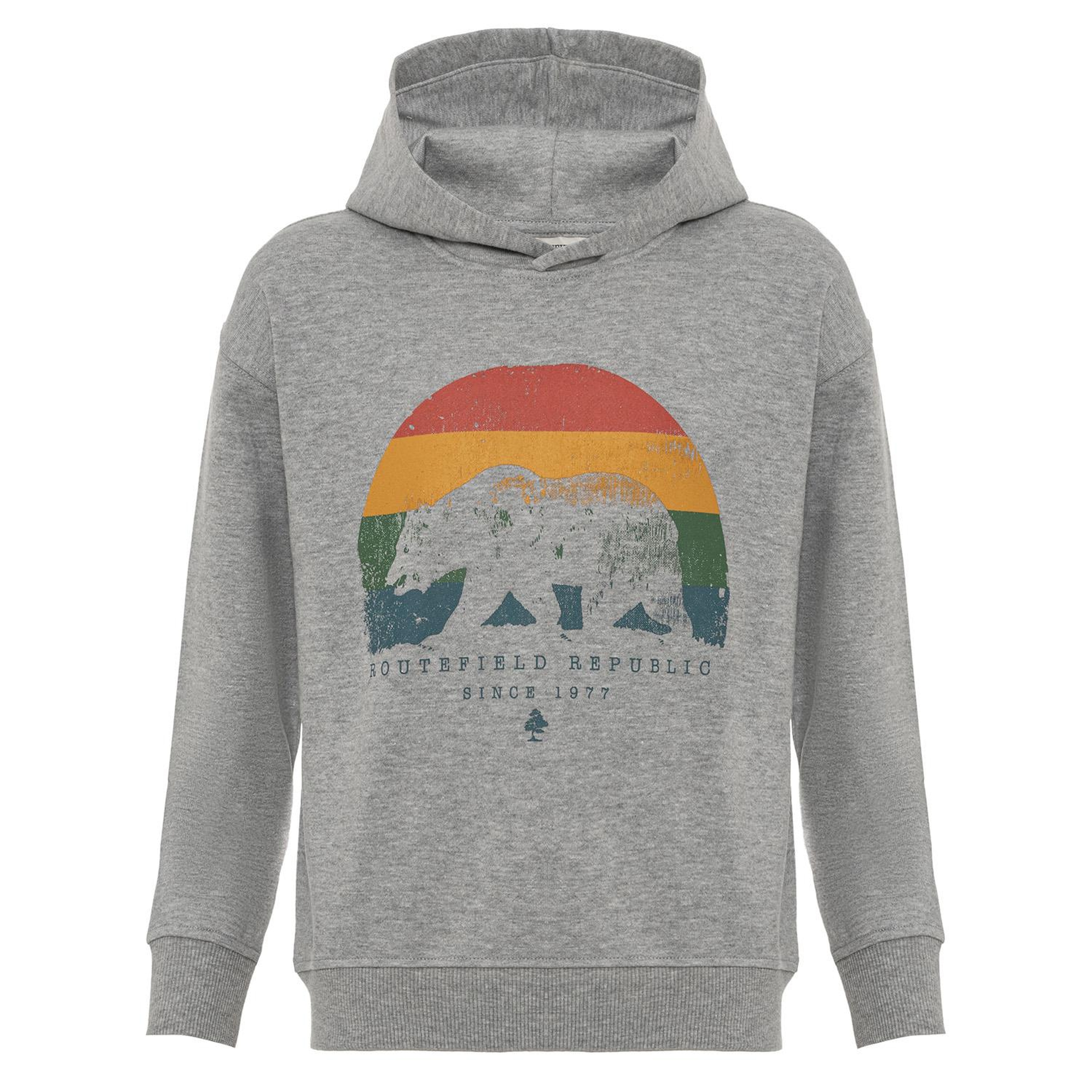 Routefield Homer Unisex Çocuk Gri Sweatshirt