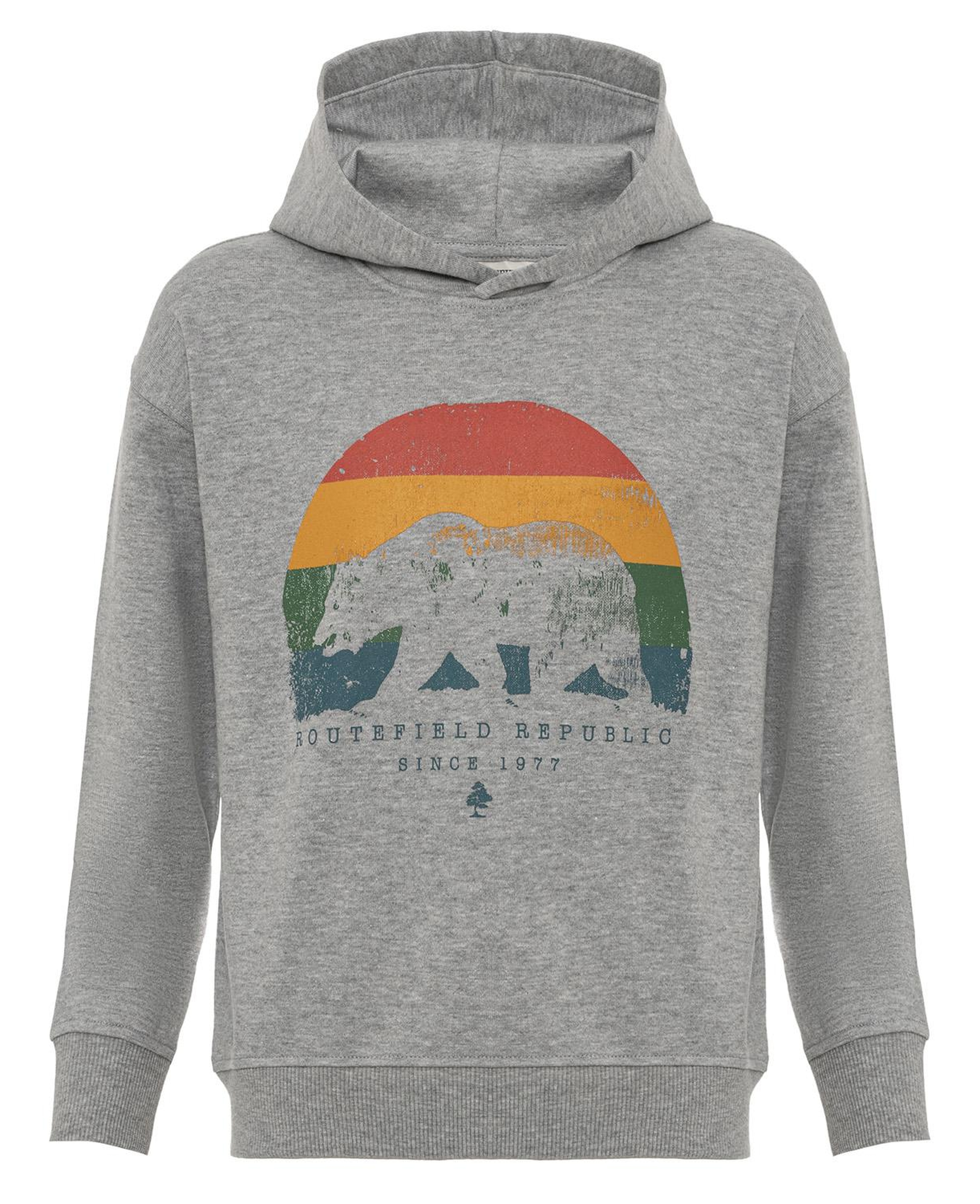 Routefield Homer Unisex Çocuk Gri Sweatshirt