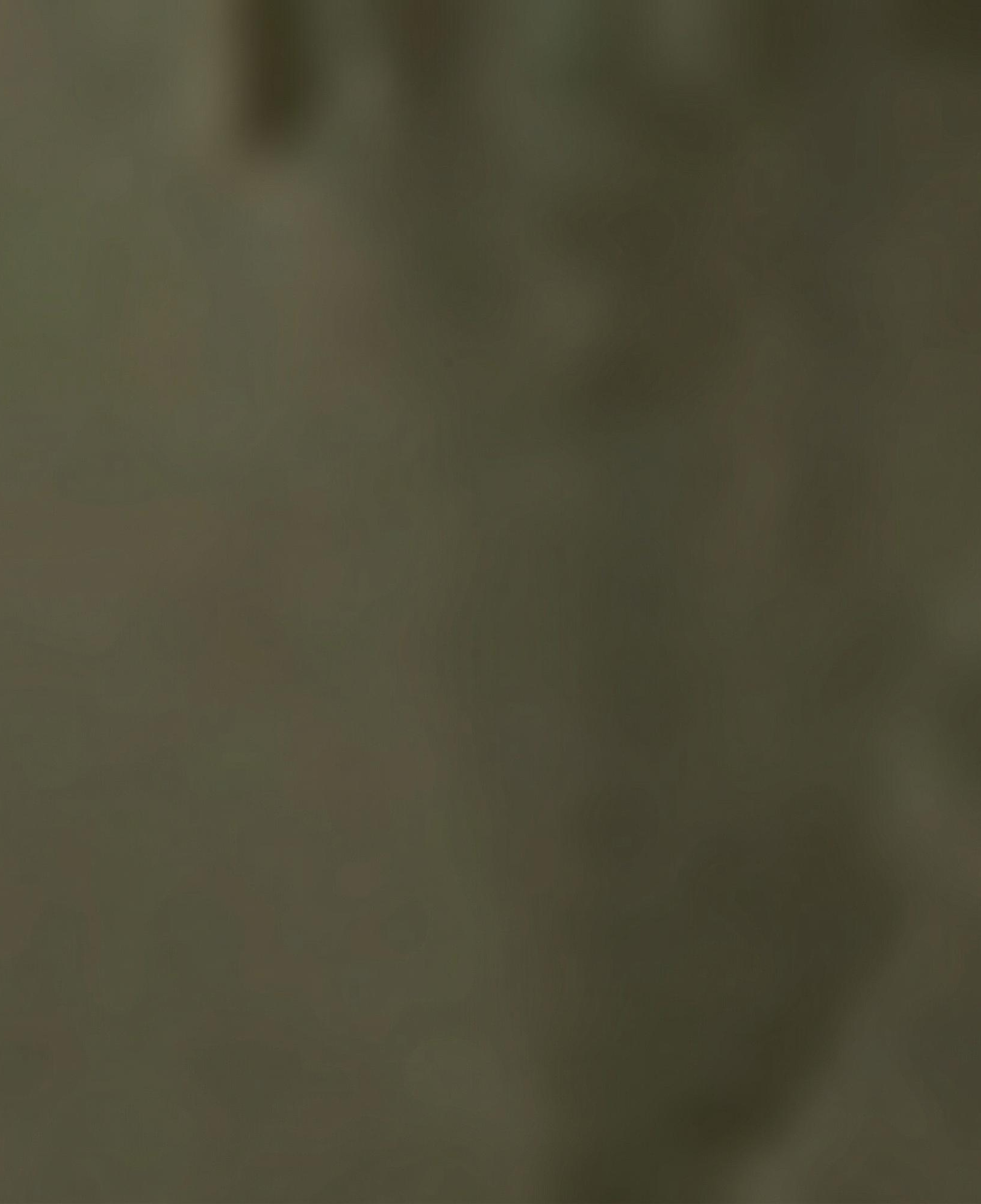 Nautica Erkek Yeşil Jogger Fit Pantolon