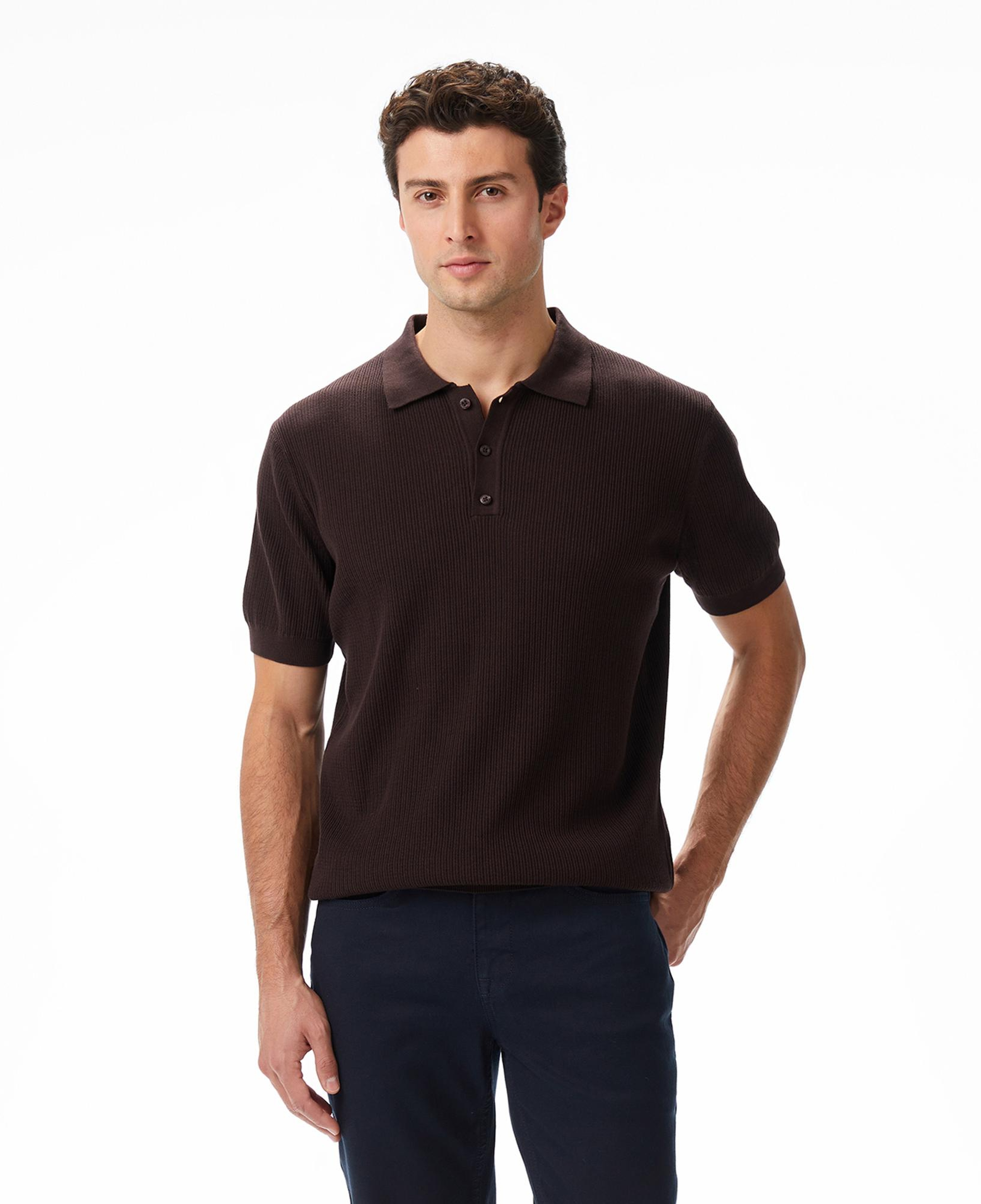 Nautica Erkek Kahverengi Regular Fit Kısa Kollu Triko