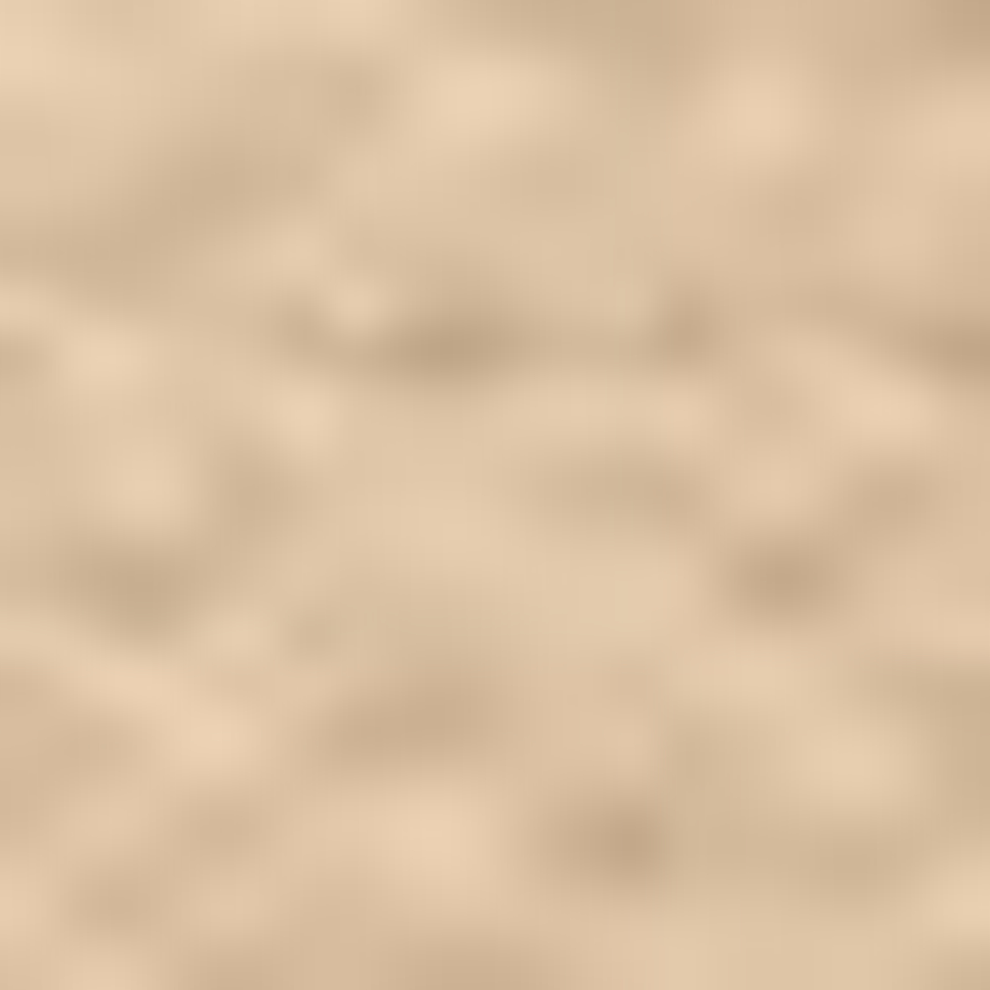 Nautica Kadın Kahverengi Omuz Çantası