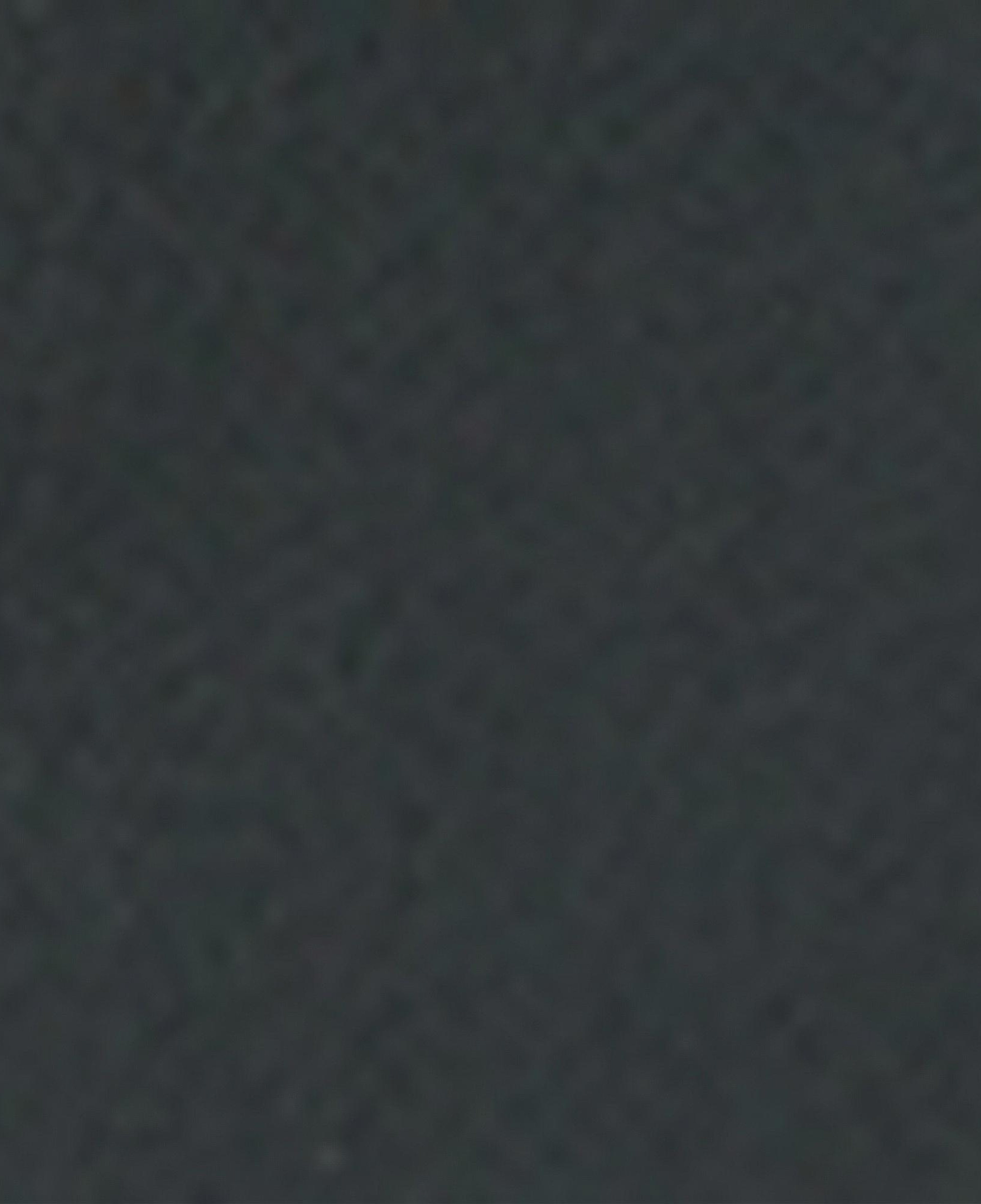 Nautica Erkek Yeşil Jogger Pantolon