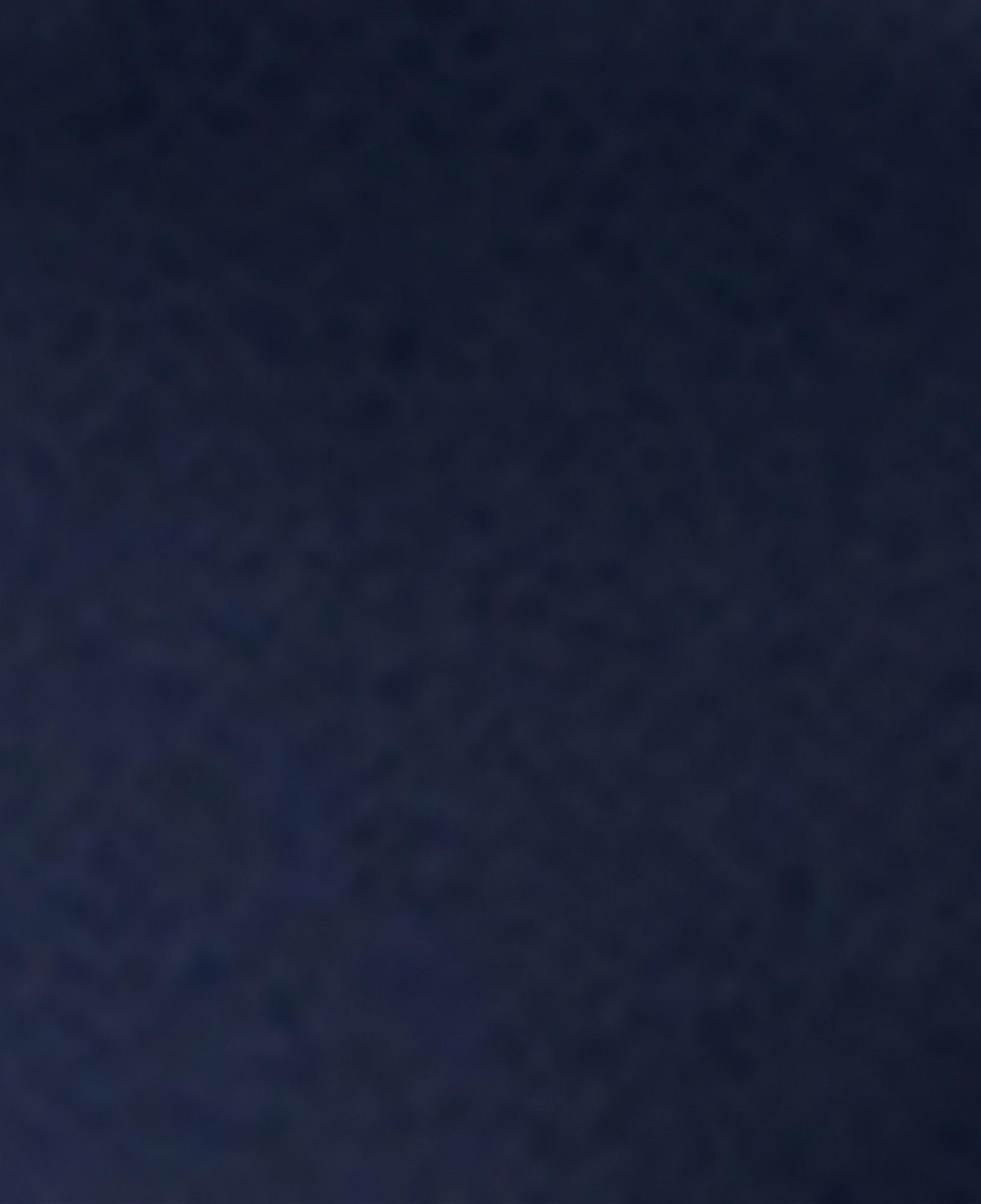 Nautica Erkek Lacivert T-Shirt