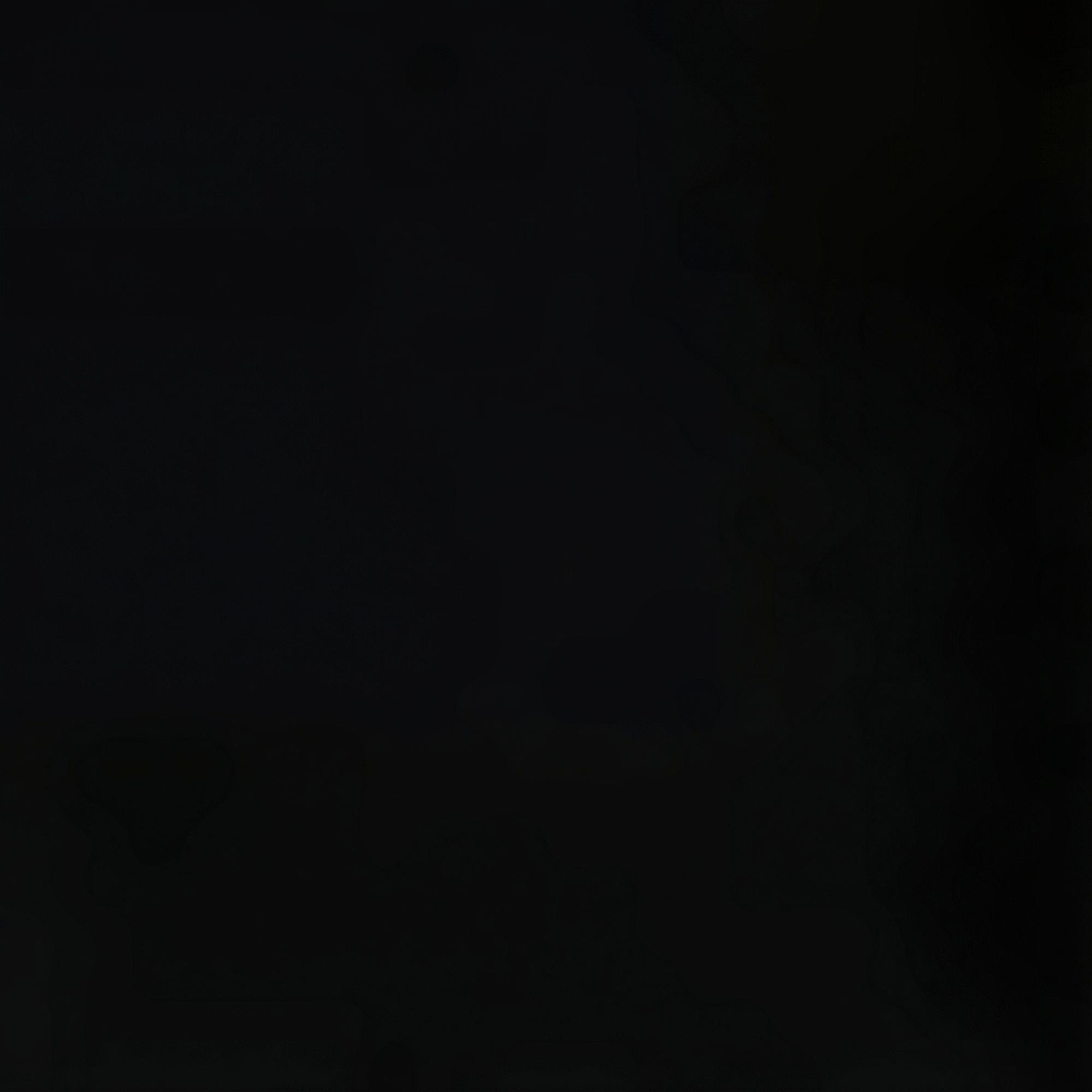 Nautica Erkek Siyah Jogger Şort