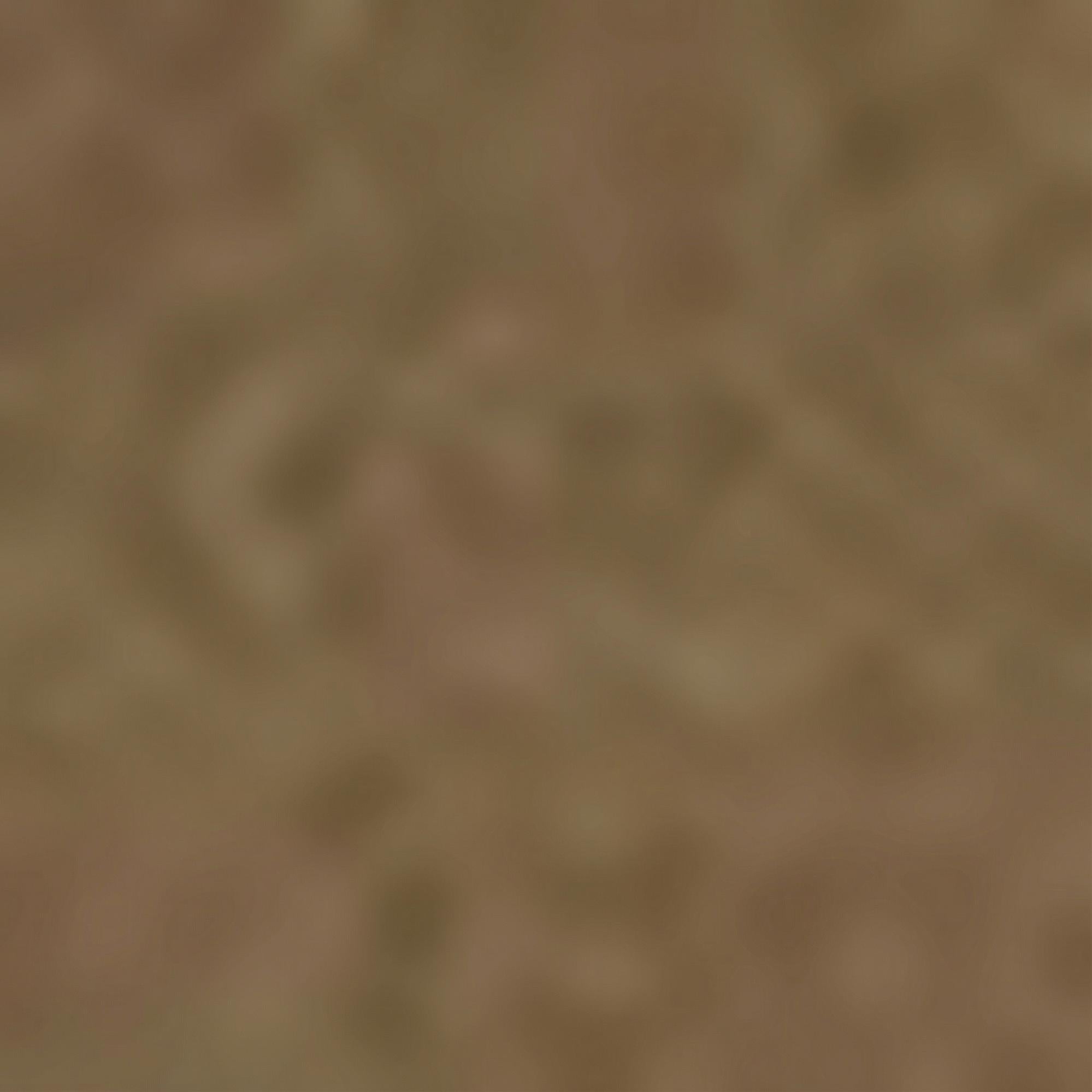 Nautica Kadın Kahverengi Regular Fit Pantolon