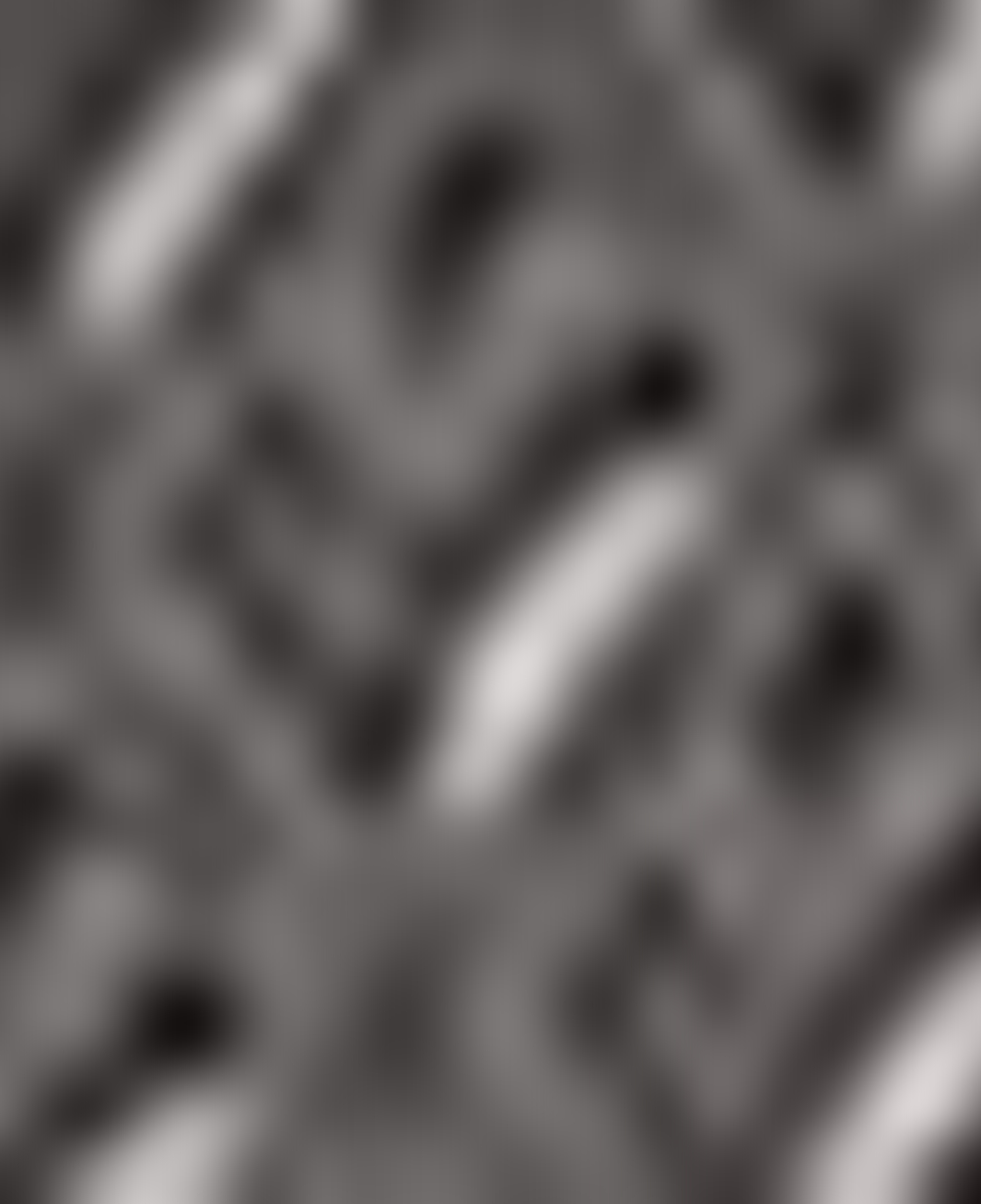 Lacoste Unisex Mavi Güneş Gözlüğü