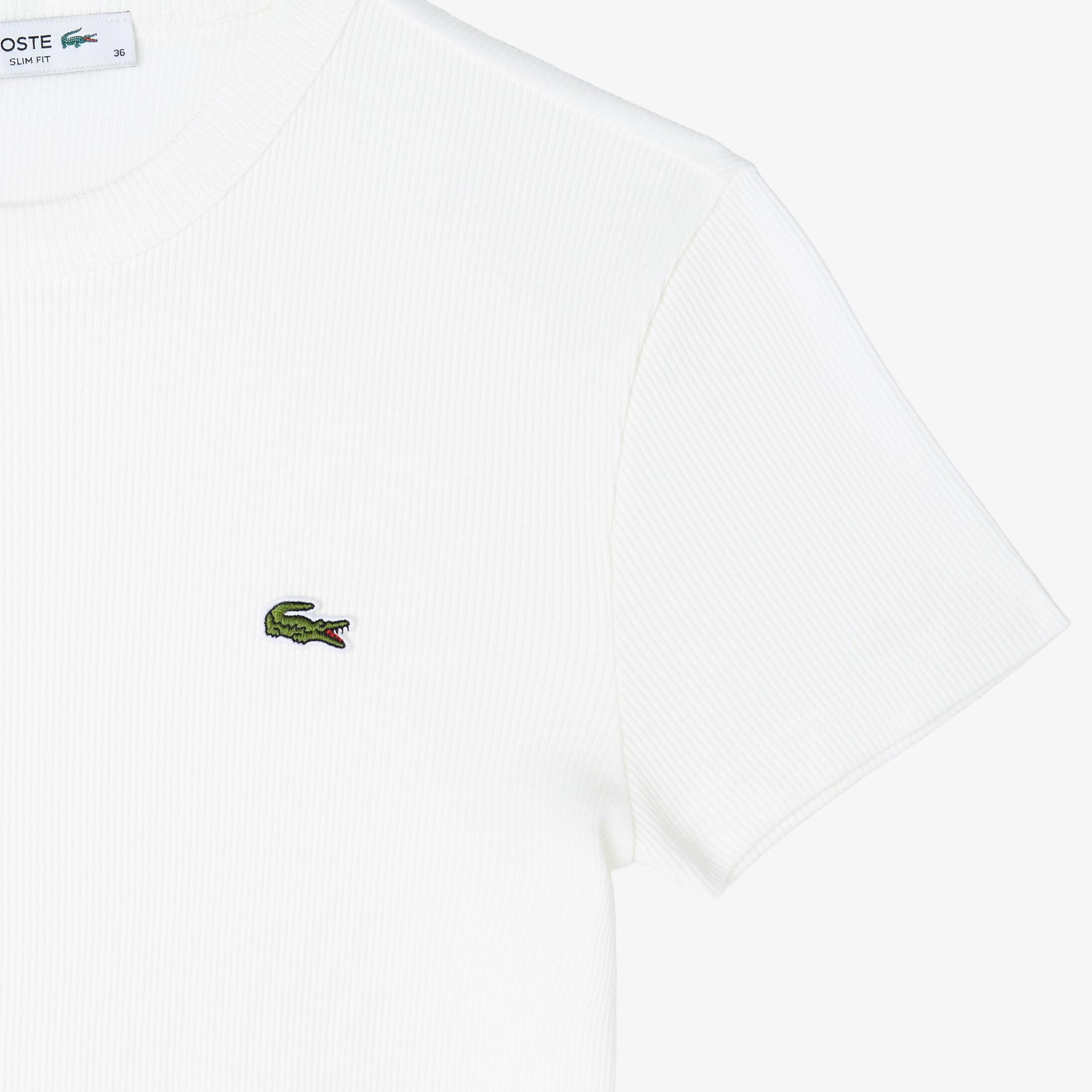 Lacoste Kadın Slim Fit Bisiklet Yaka Beyaz T-Shirt