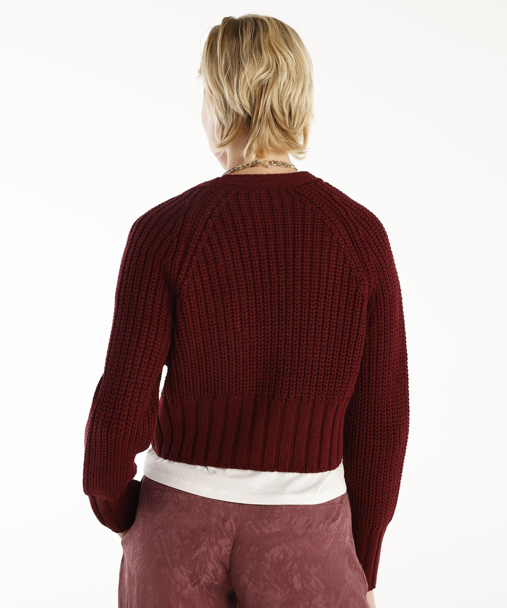 YARGICI V-Yakalı Hırka