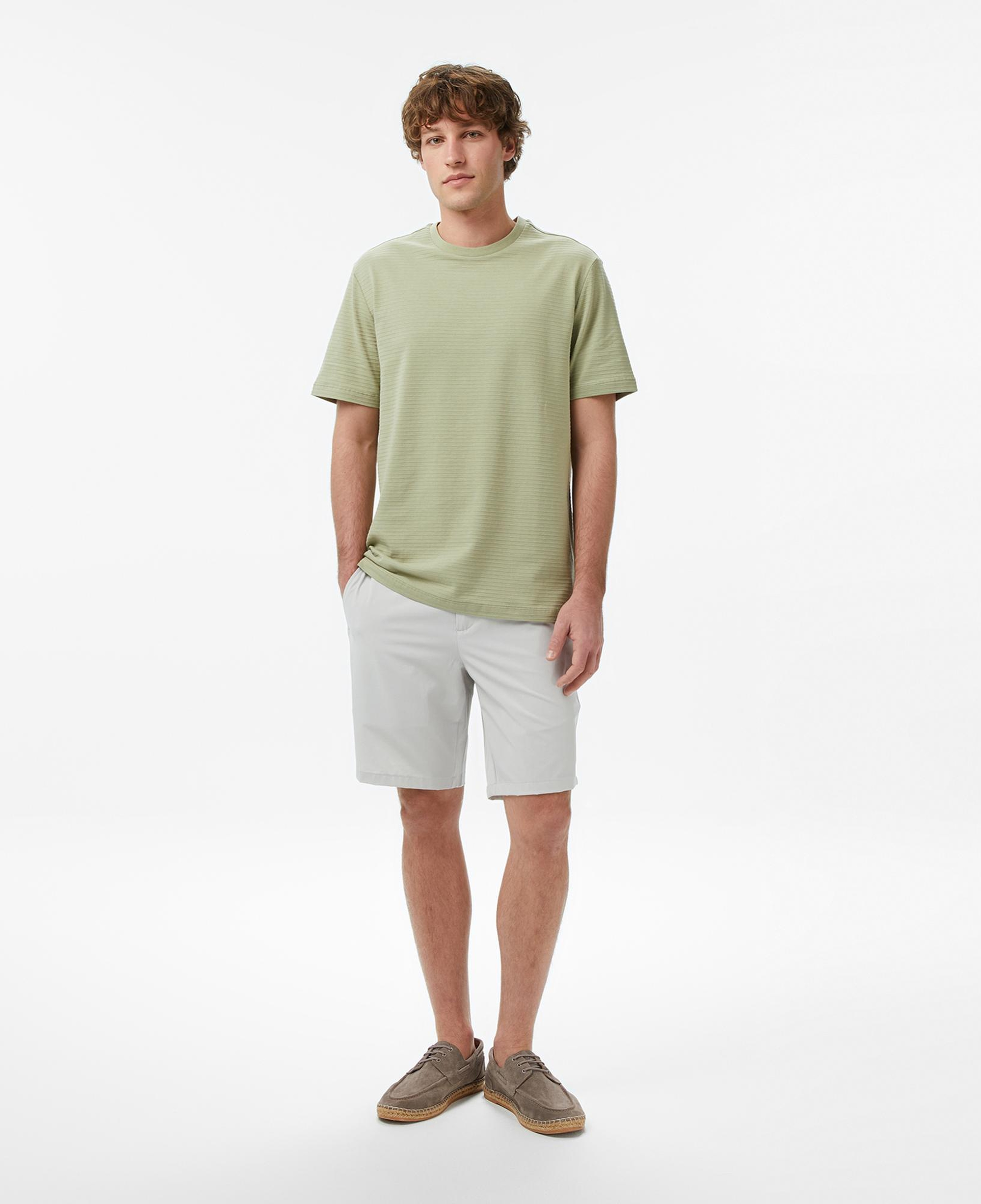 Nautica Erkek Gri Regular Fit Şort