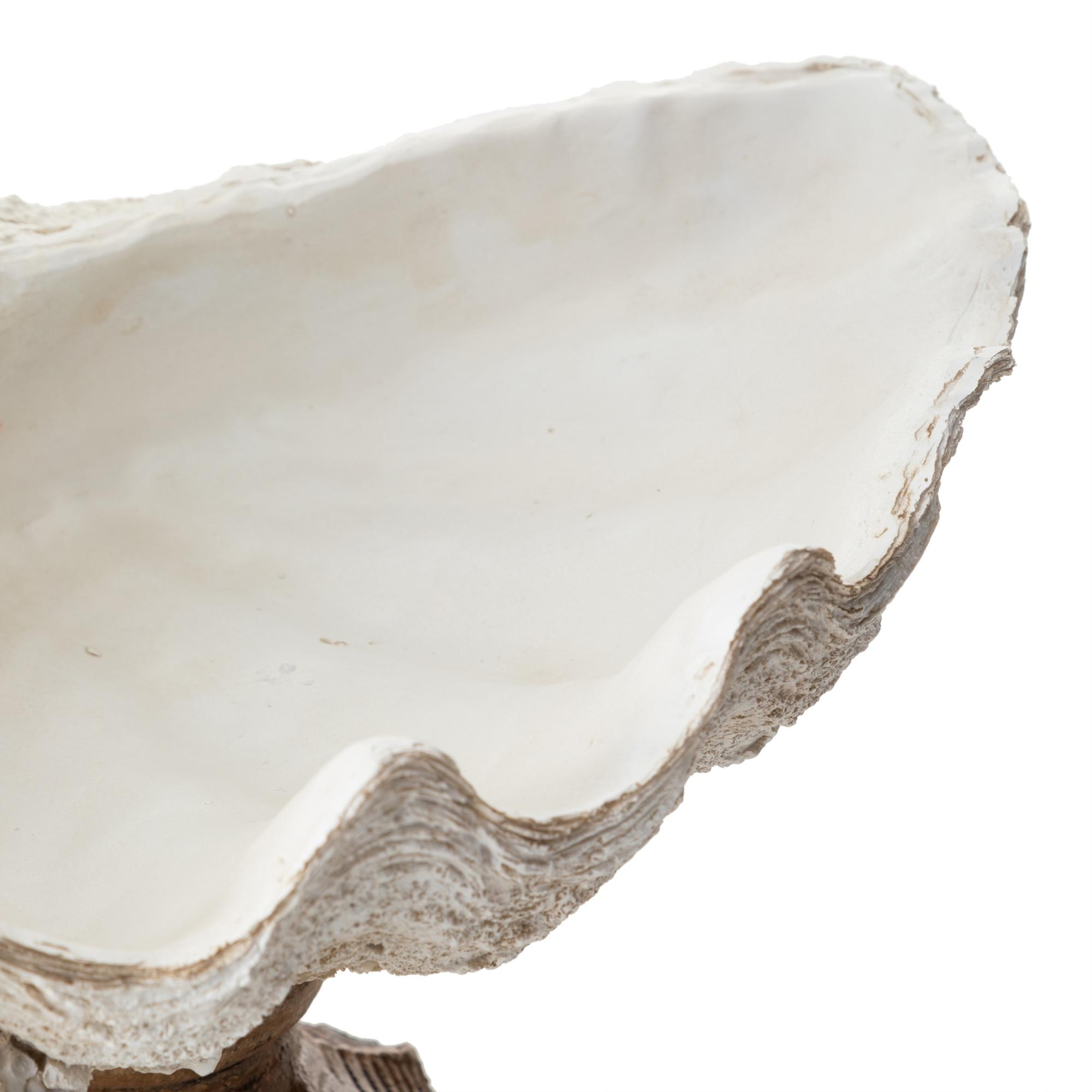 SHELL DEKORATİF KASE BEYAZ 45X25X23 CM