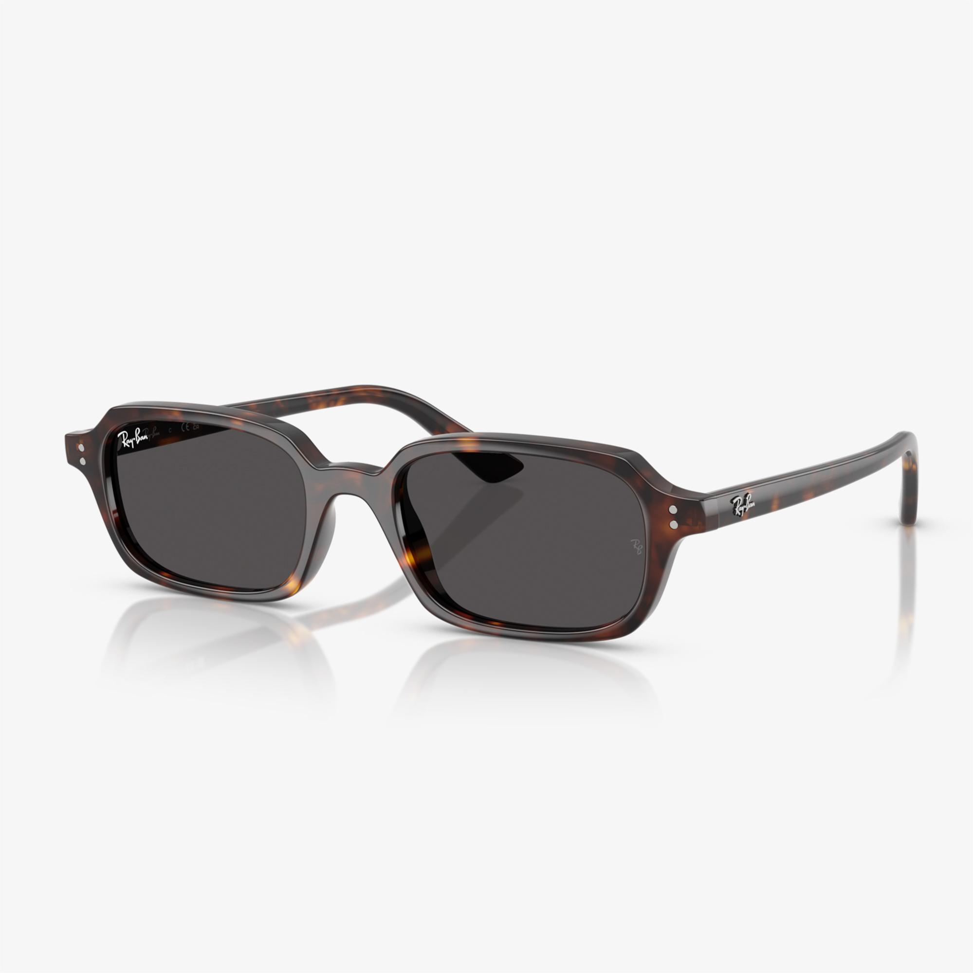 Ray-Ban RB4455 Unisex Kahverengi Güneş Gözlüğü
