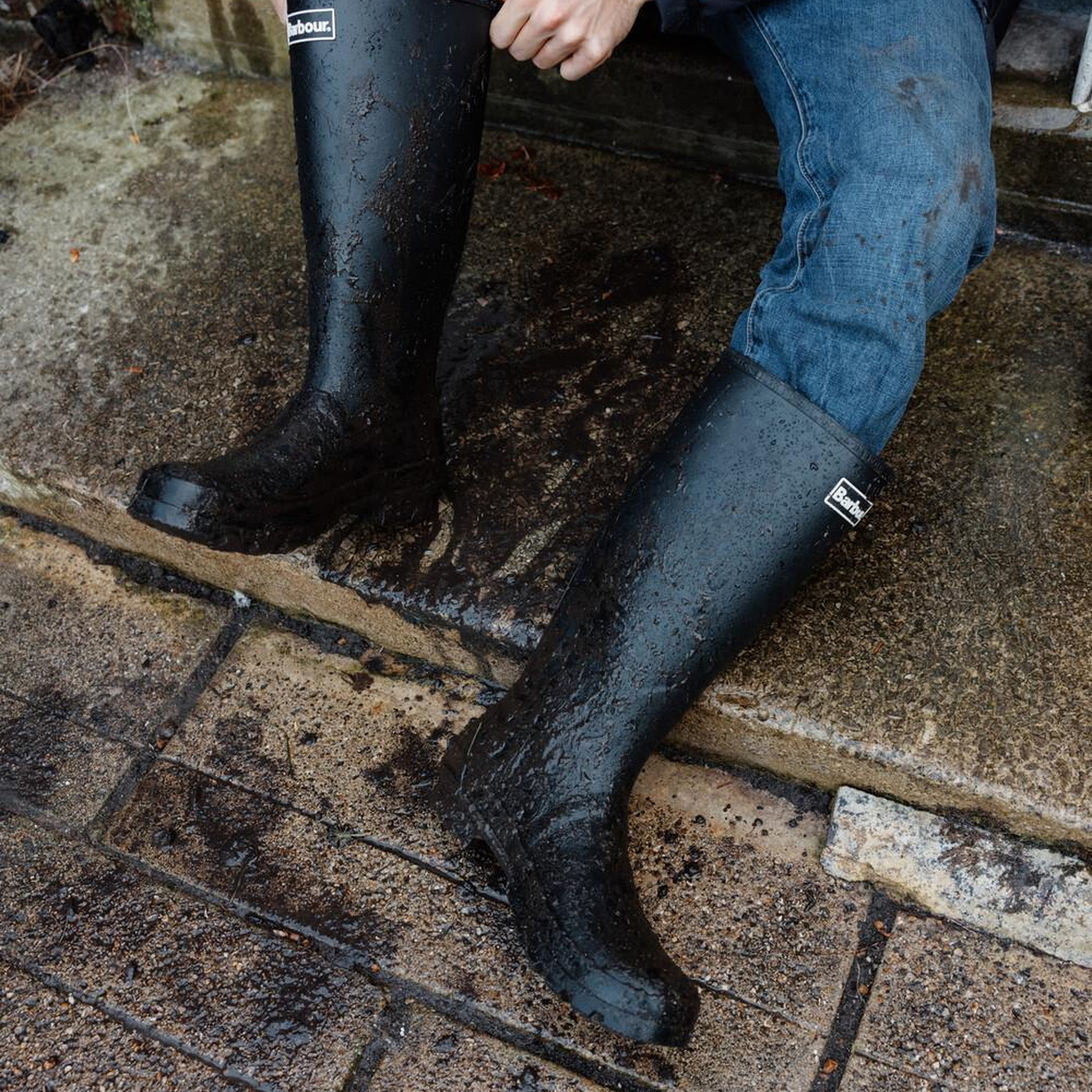 Barbour Bede Wellington Bot