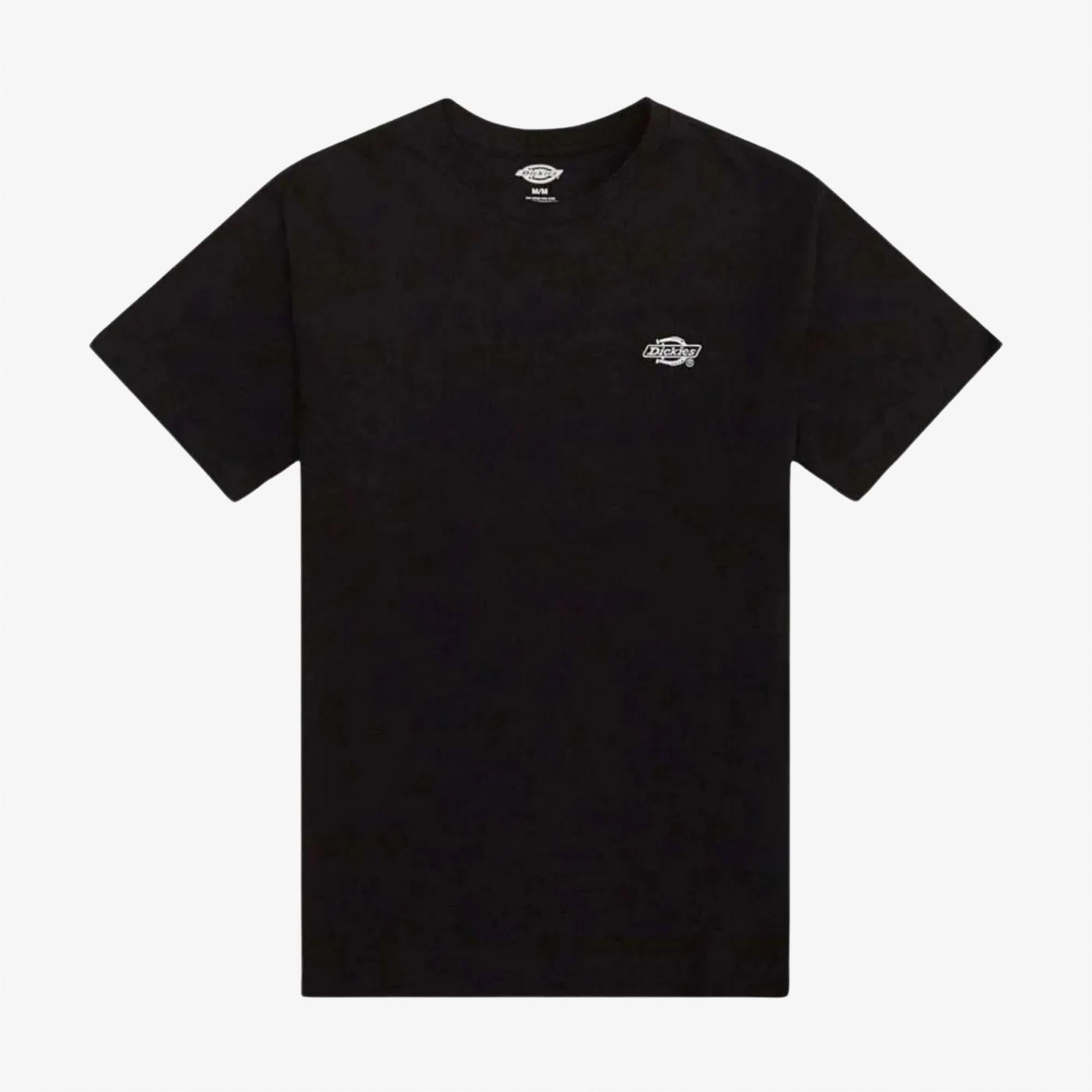 Dickies Summerdale Erkek Siyah T-Shirt