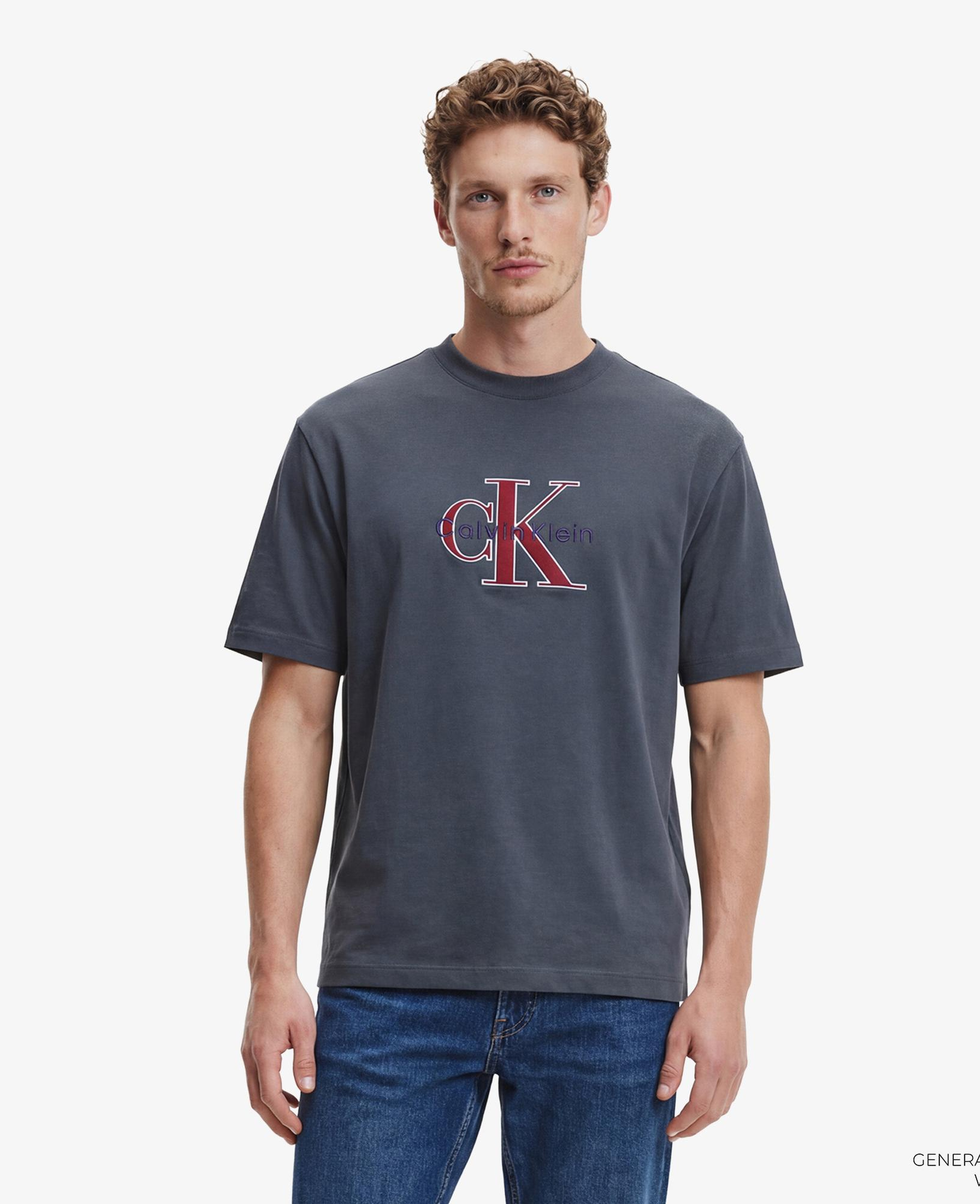 Calvin Klein Tricolor Monologo Graphic Erkek Mavi T-Shirt