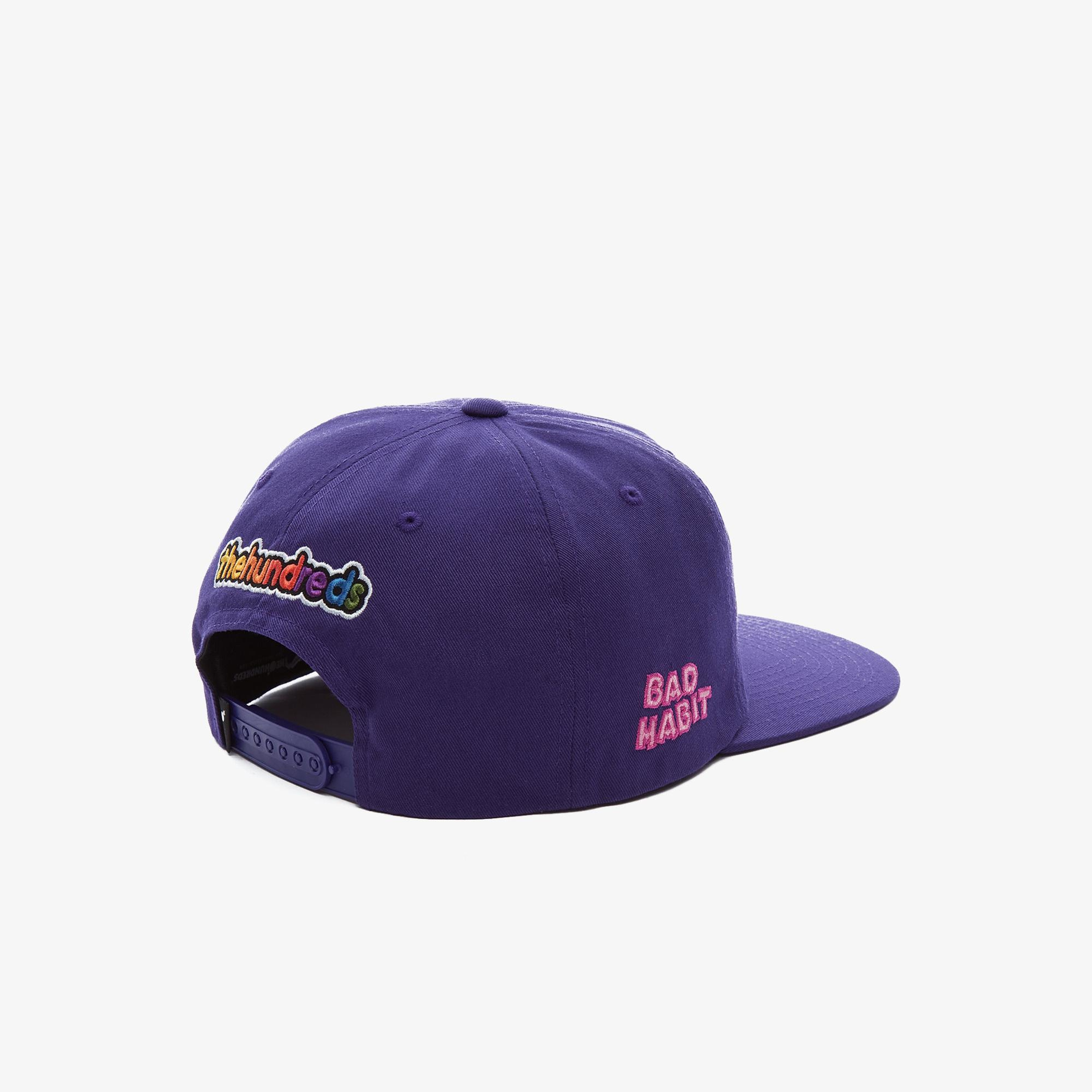 The Hundreds Froots Snapback Erkek Mor Şapka
