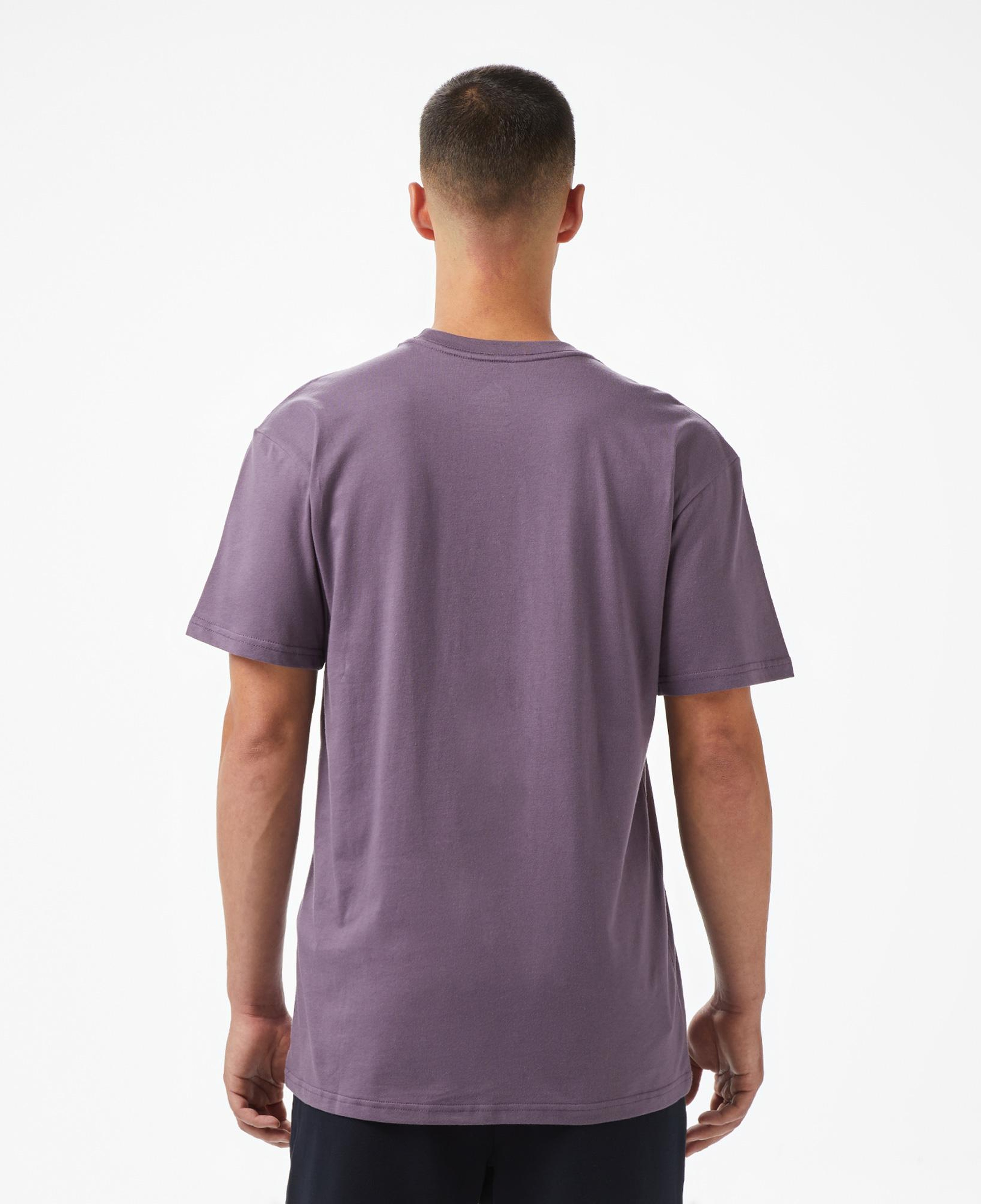 Quiksilver Ev Mini Logo Ss Erkek Mor T-Shirt