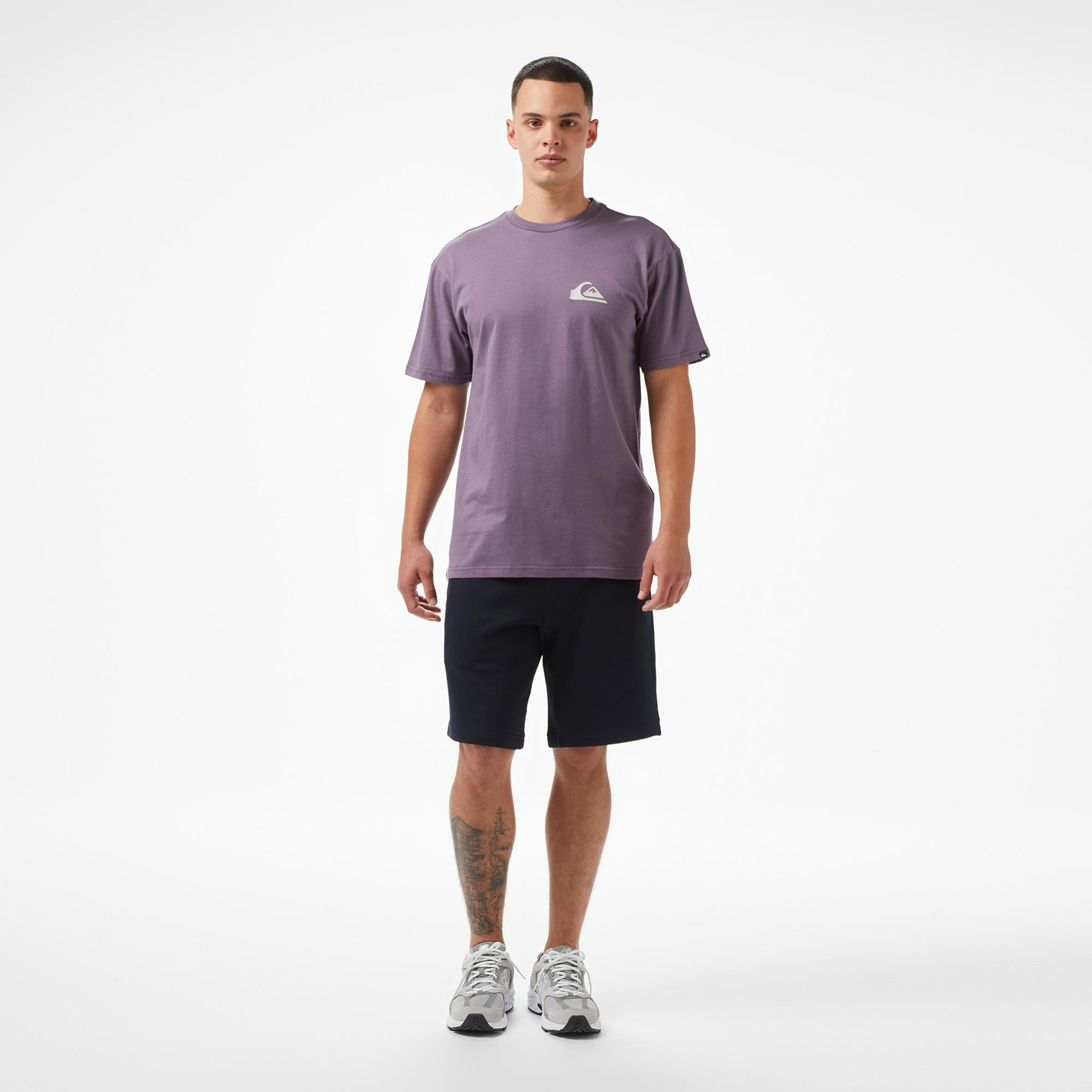 Quiksilver Ev Mini Logo Ss Erkek Mor T-Shirt