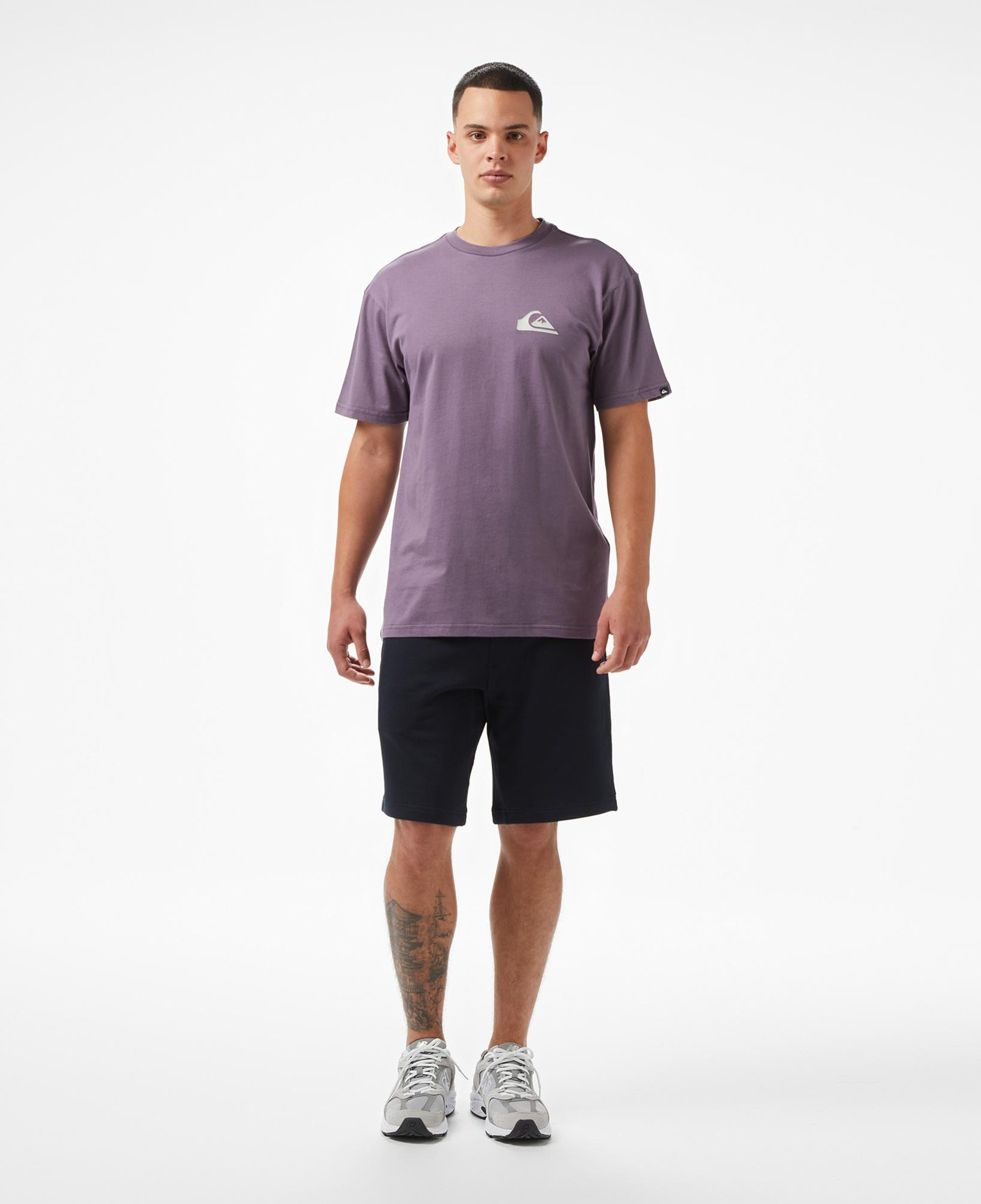 Quiksilver Ev Mini Logo Ss Erkek Mor T-Shirt