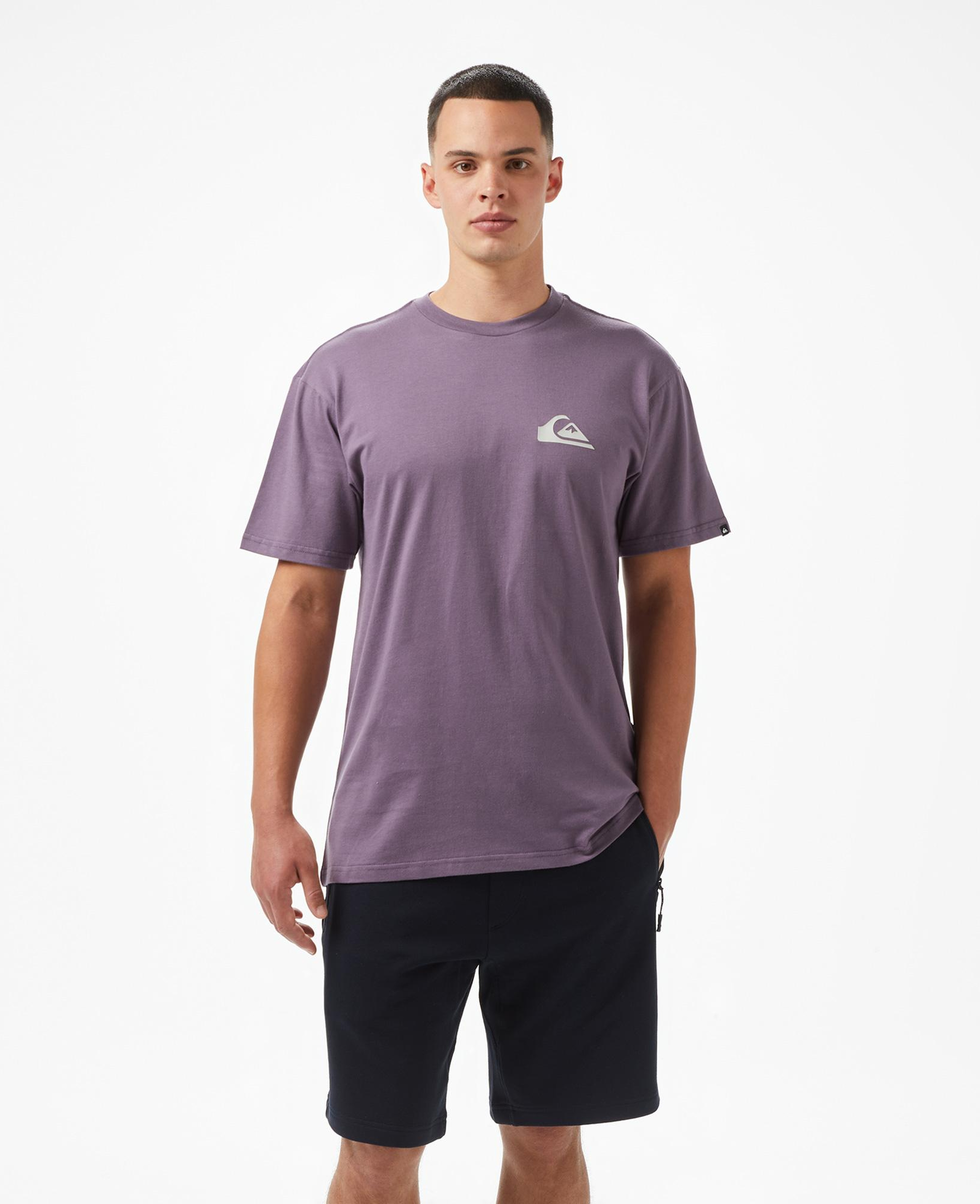 Quiksilver Ev Mini Logo Ss Erkek Mor T-Shirt
