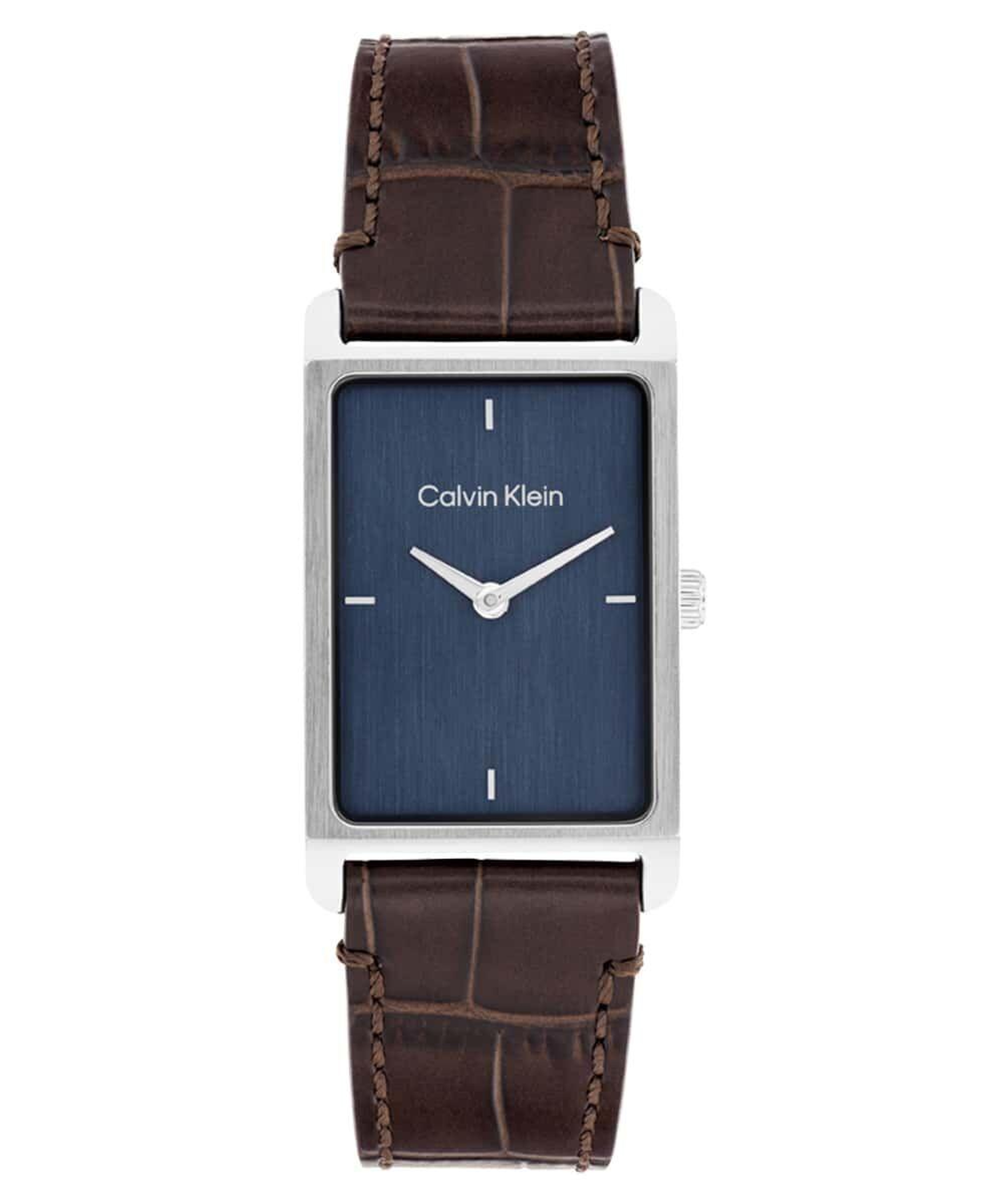 Calvin Klein CK25200529 Erkek Kol Saati