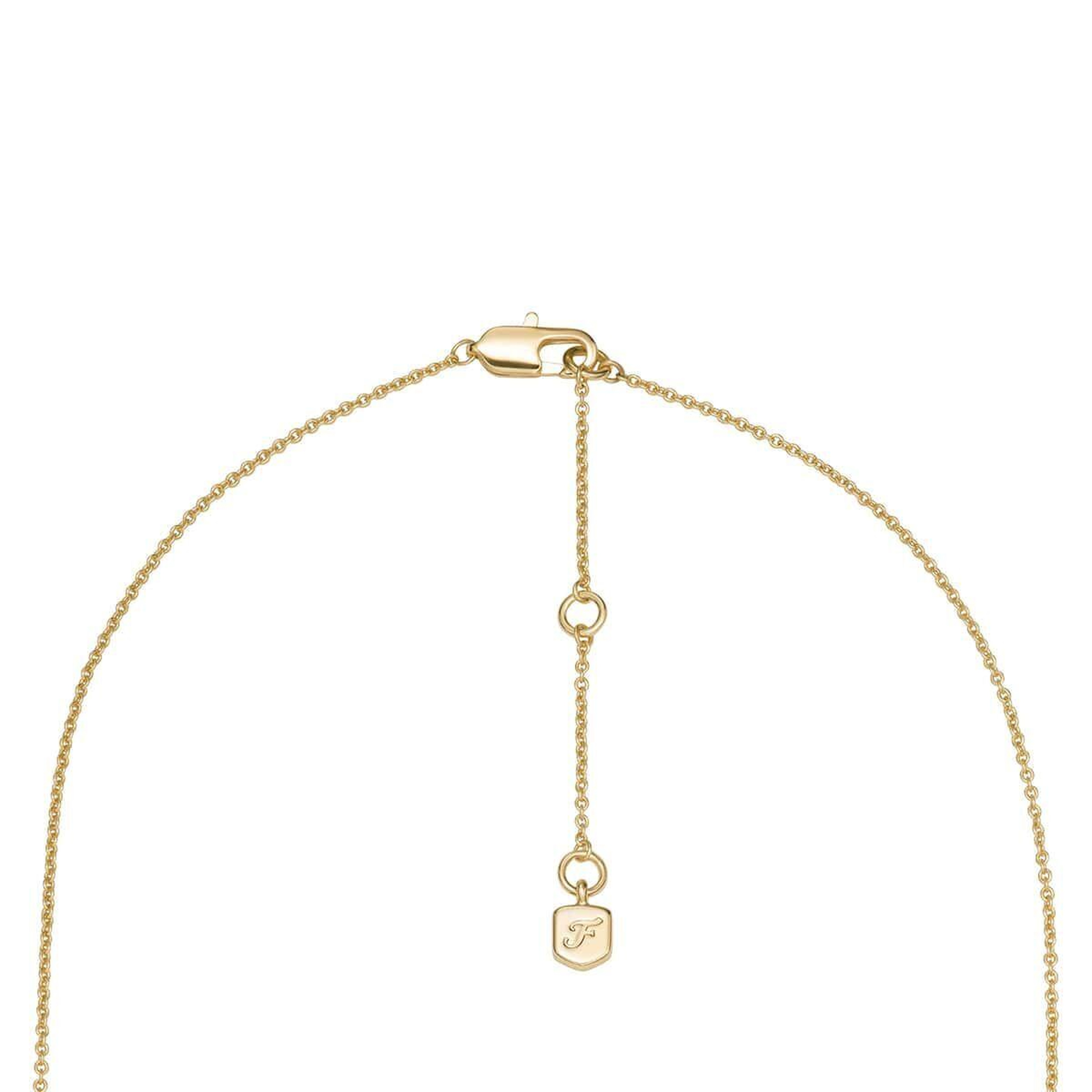 Fossil JA7298-710 Kalpli Kadın Kolye