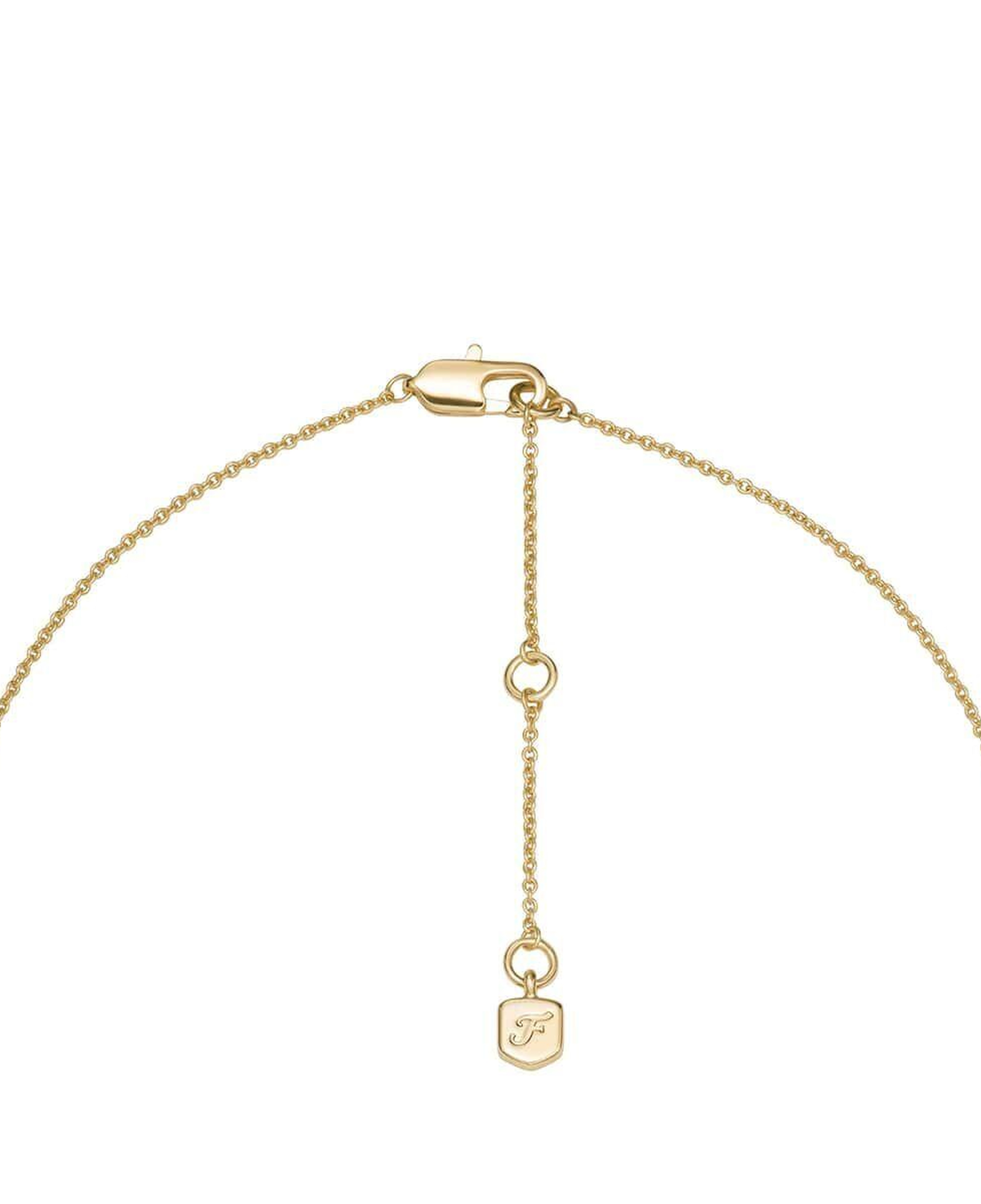 Fossil JA7298-710 Kalpli Kadın Kolye