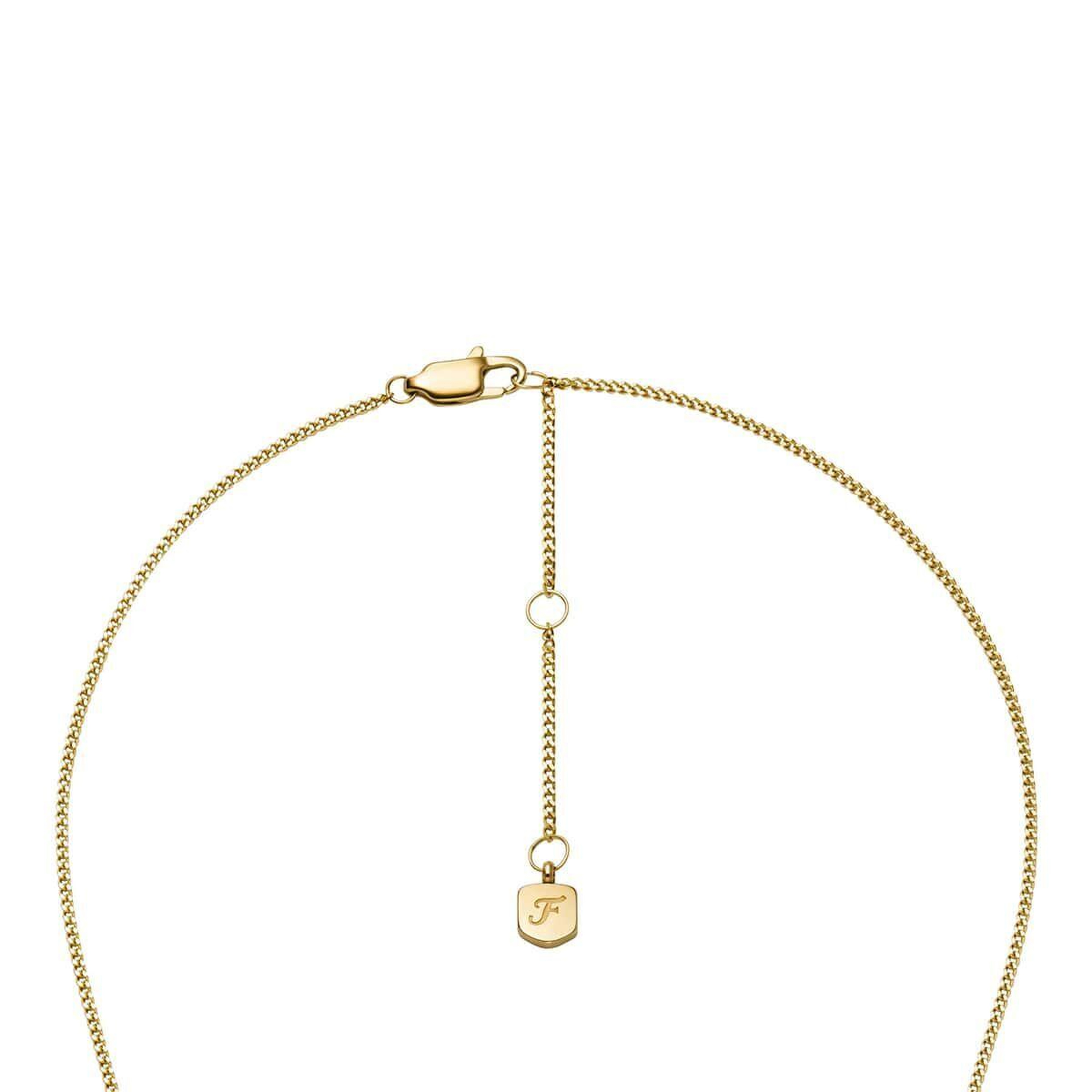 Fossil JF04961-710 Kadın Kolye