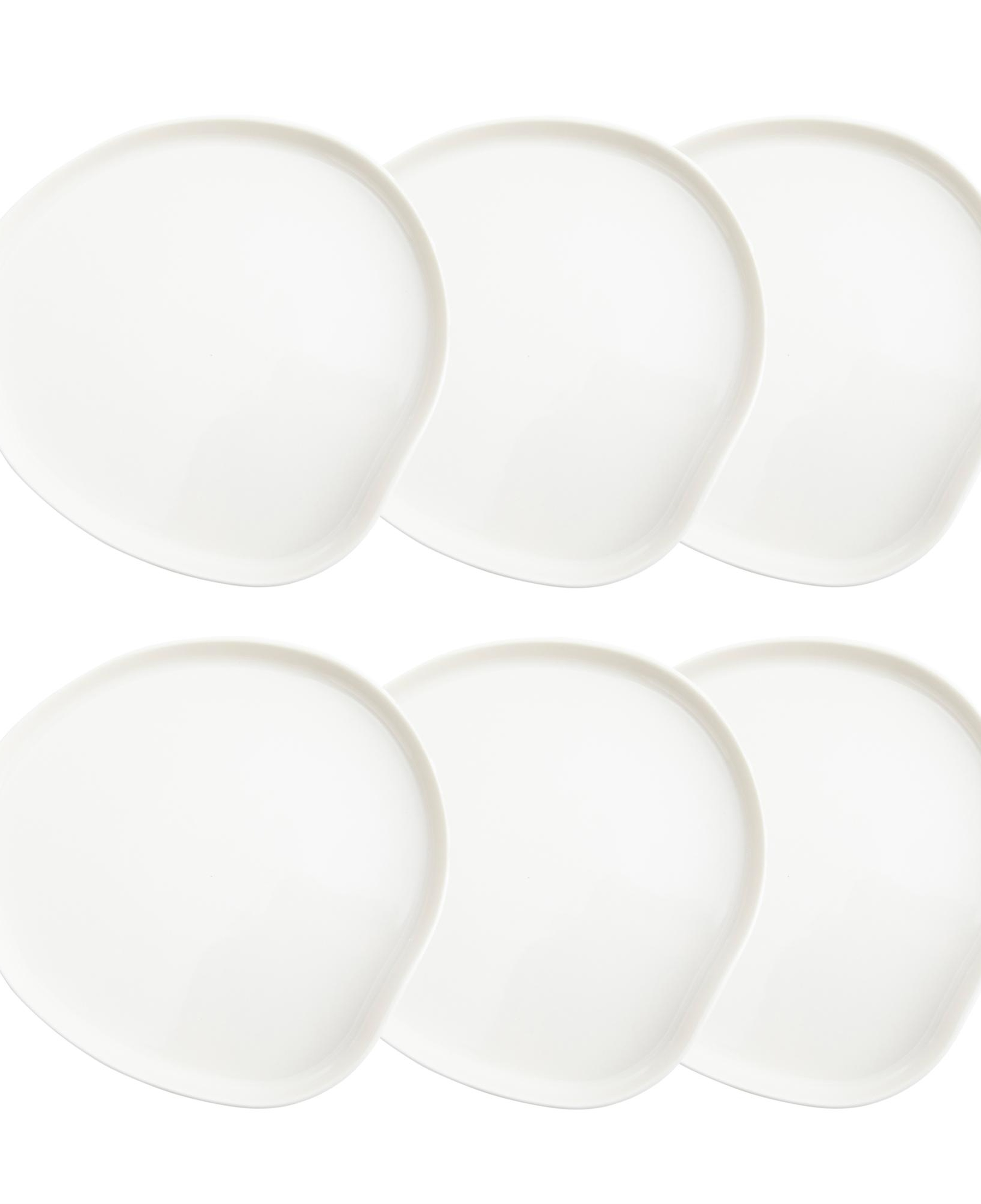 ASPENDOS PASTA TABAĞI SETİ 20CM - 6LI