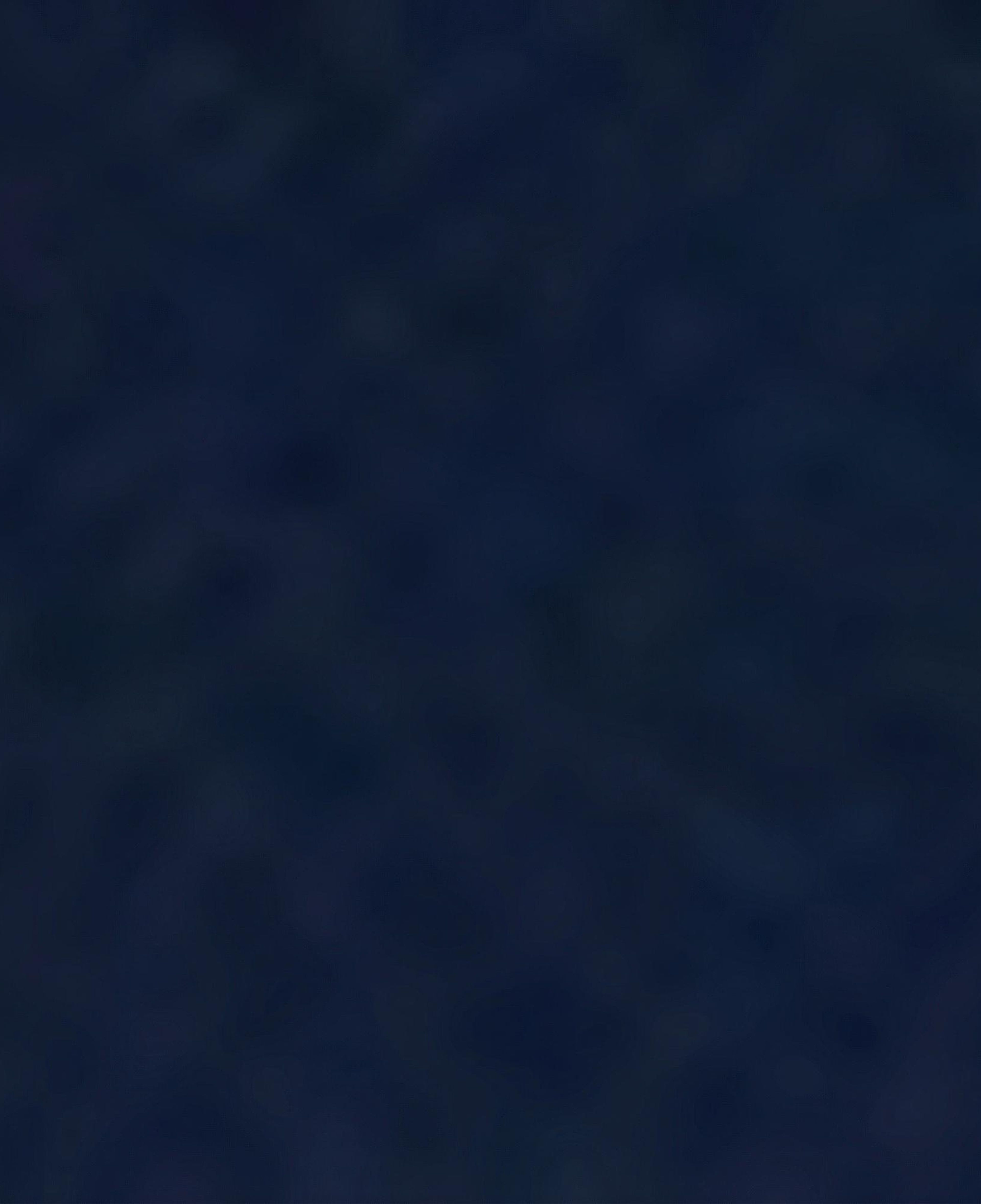 Nautica Erkek Lacivert Jogger Şort