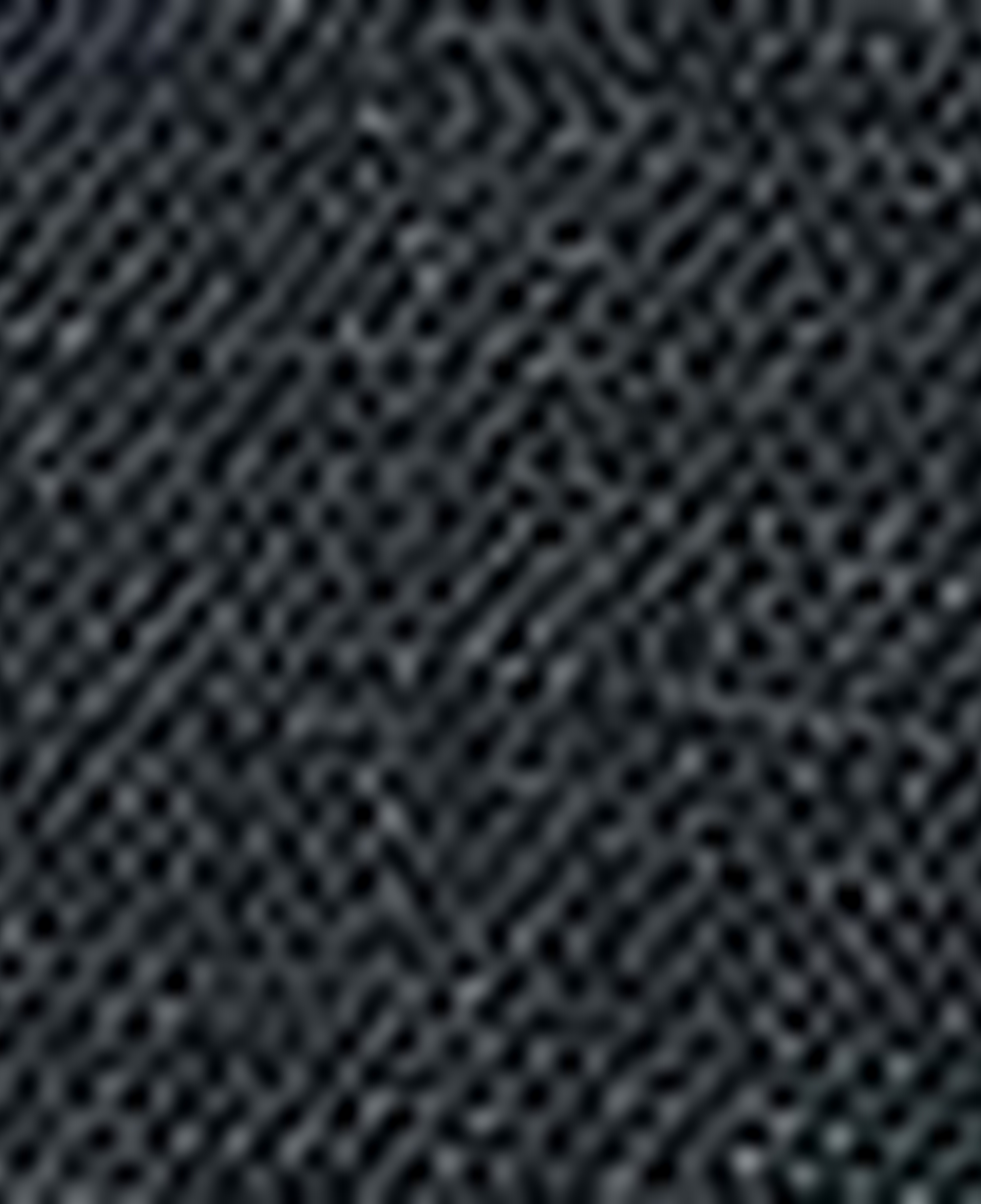 Nautica Erkek Siyah Classic Fit Keten Gömlek