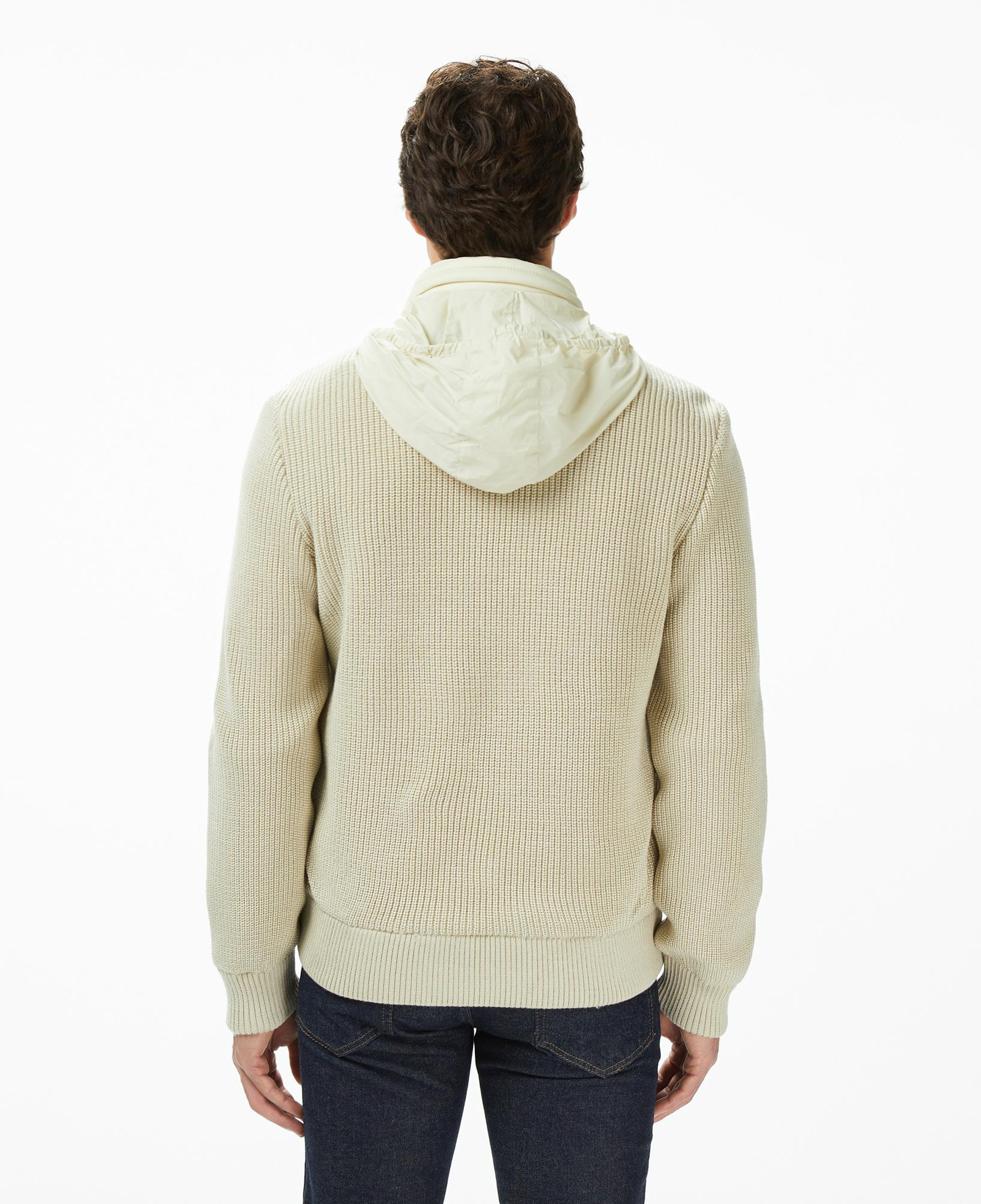 Lacoste Erkek Regular Fit Kapüşonlu Açık Kahverengi Mont