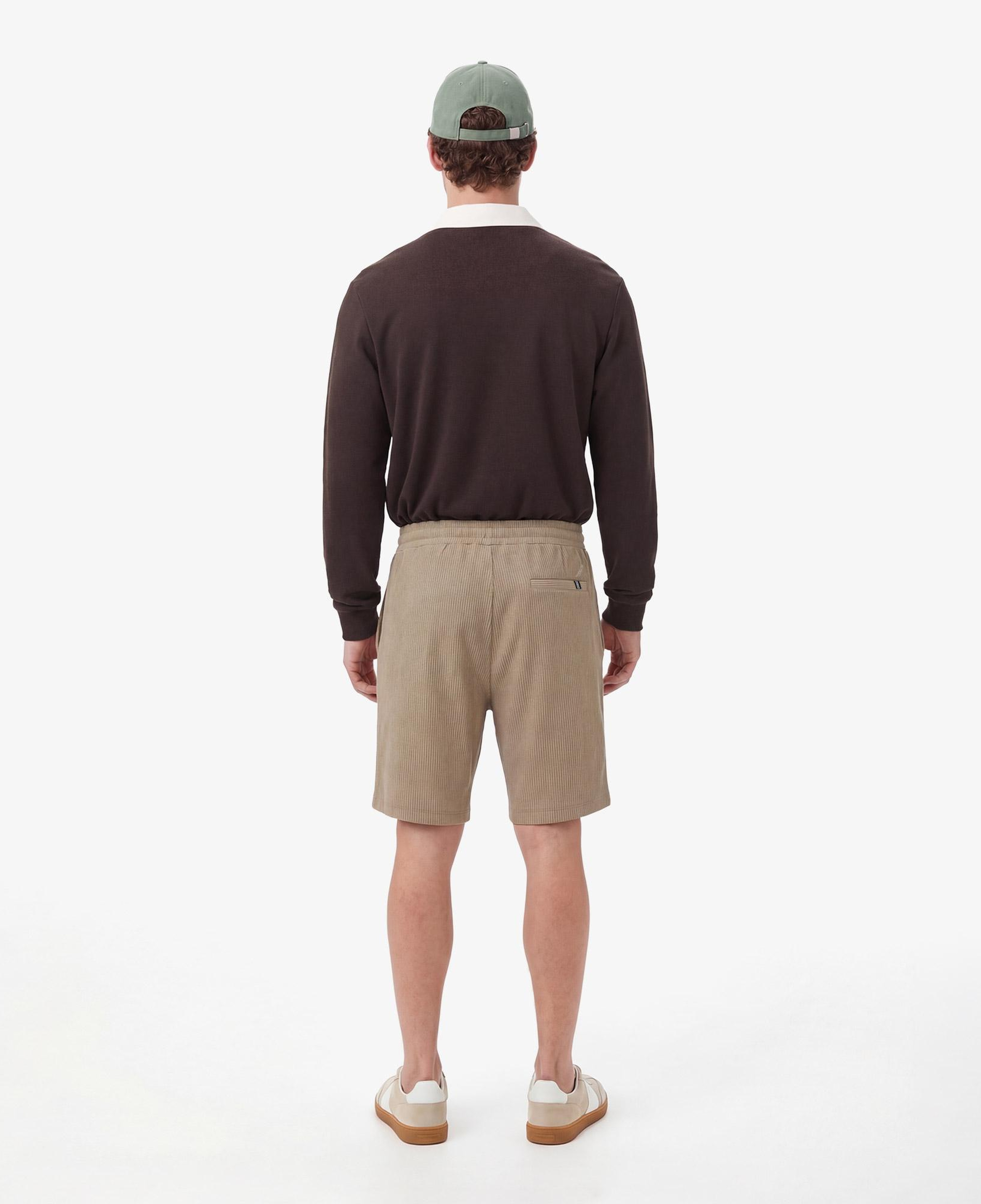 Nautica Erkek Kahverengi Regular Fit Şort