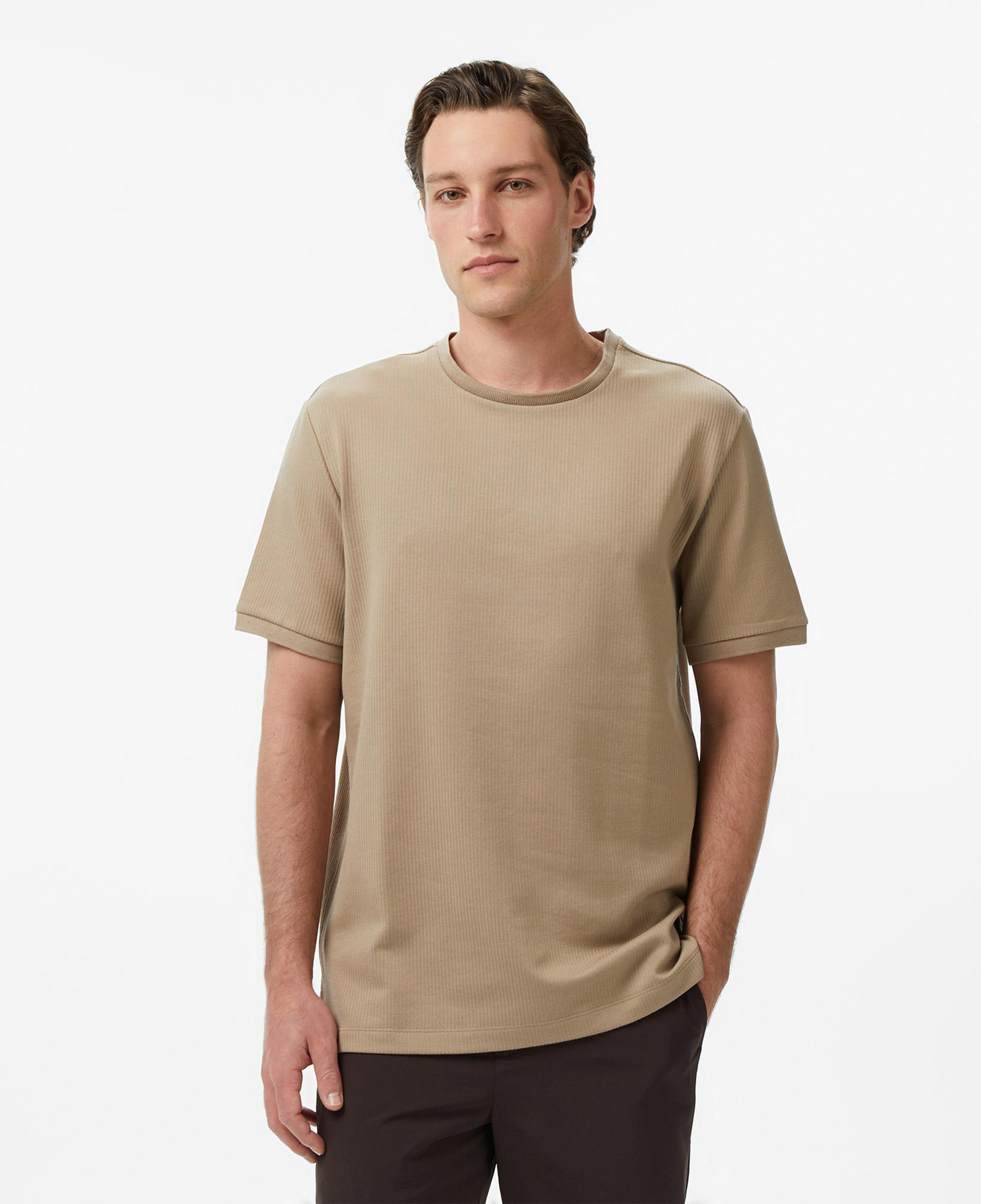 Nautica Erkek Bej Regular Fit T-Shirt
