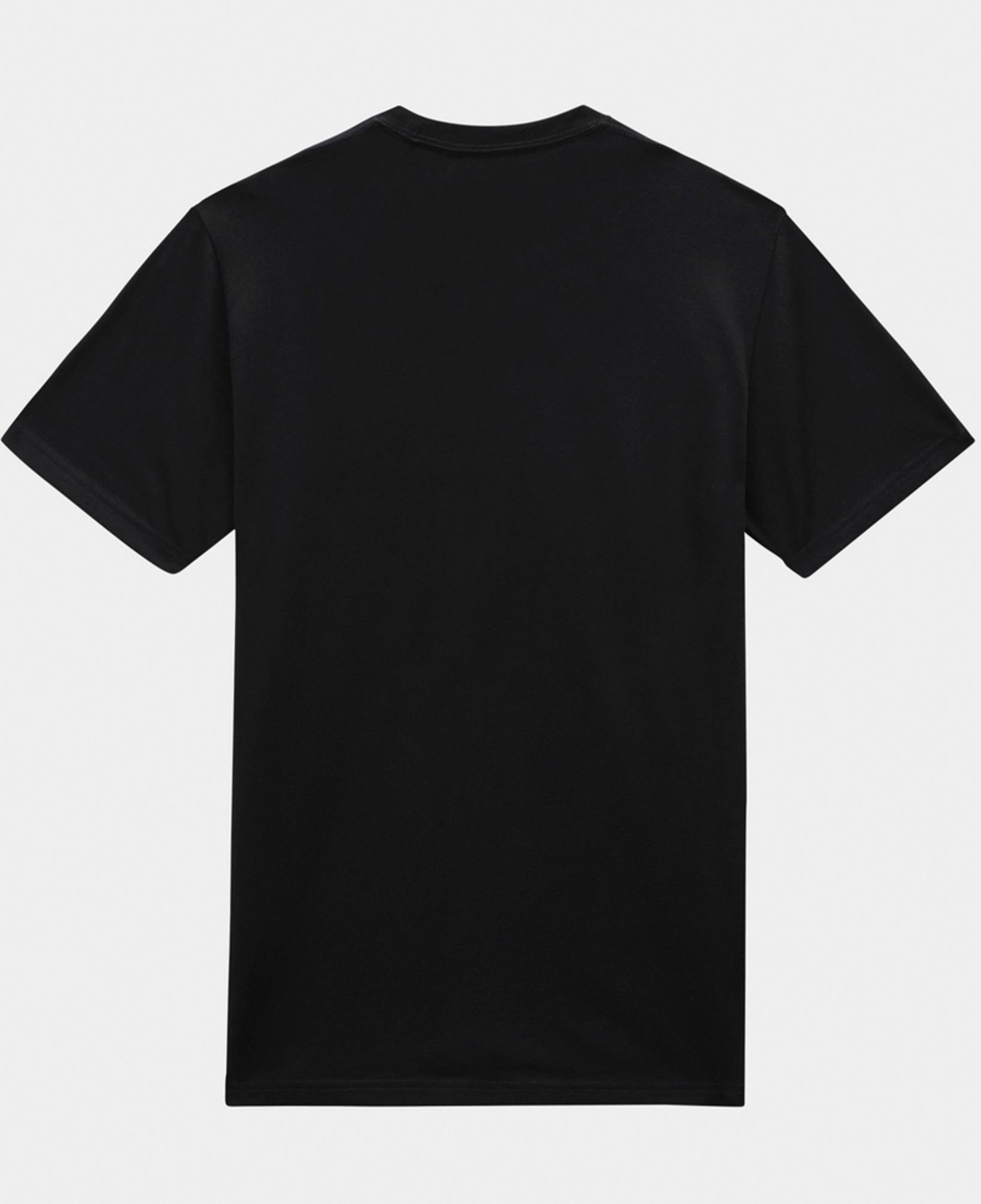 Dickies Mapleton Erkek Siyah T-Shirt