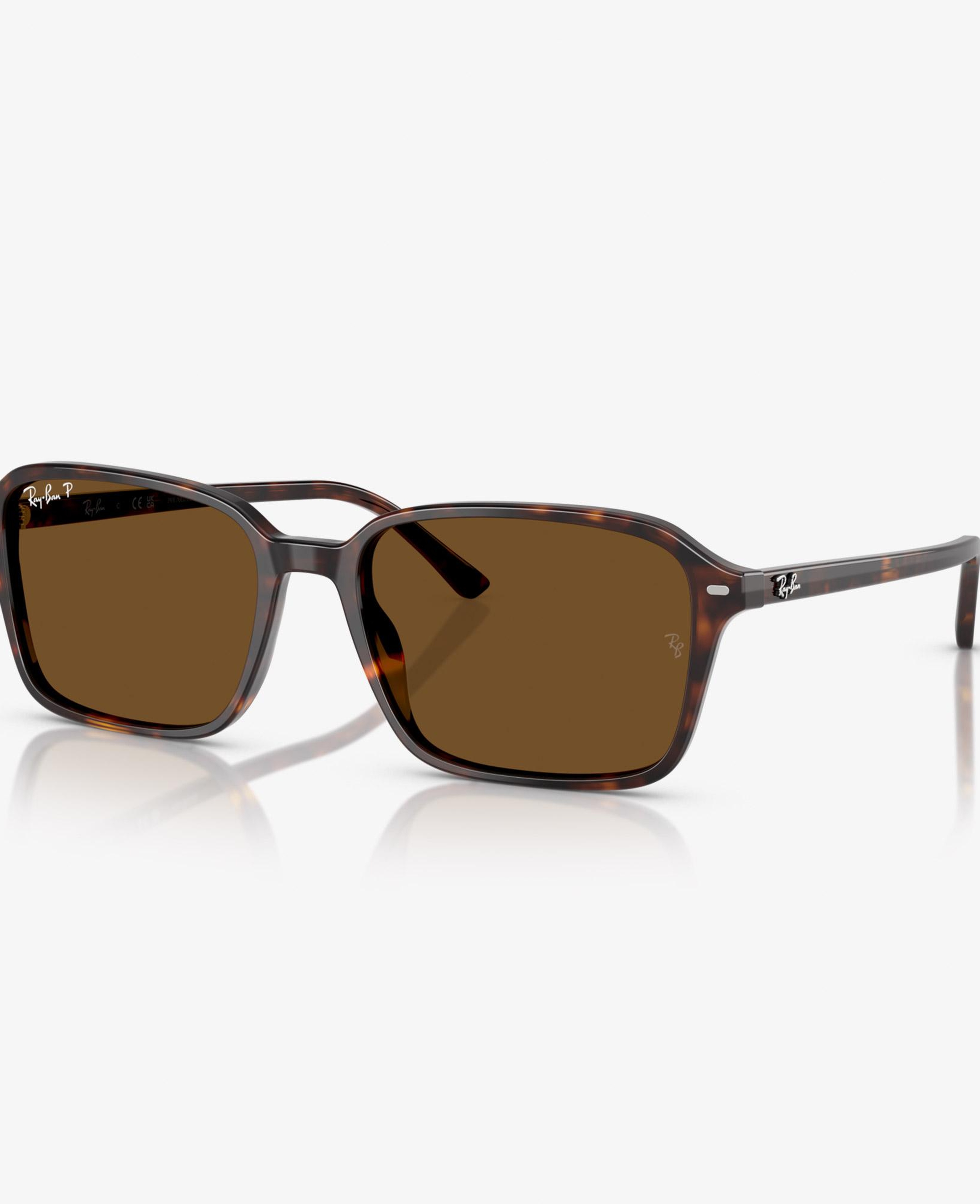 Ray-Ban Raimond RB2231 Unisex Kahverengi Güneş Gözlüğü