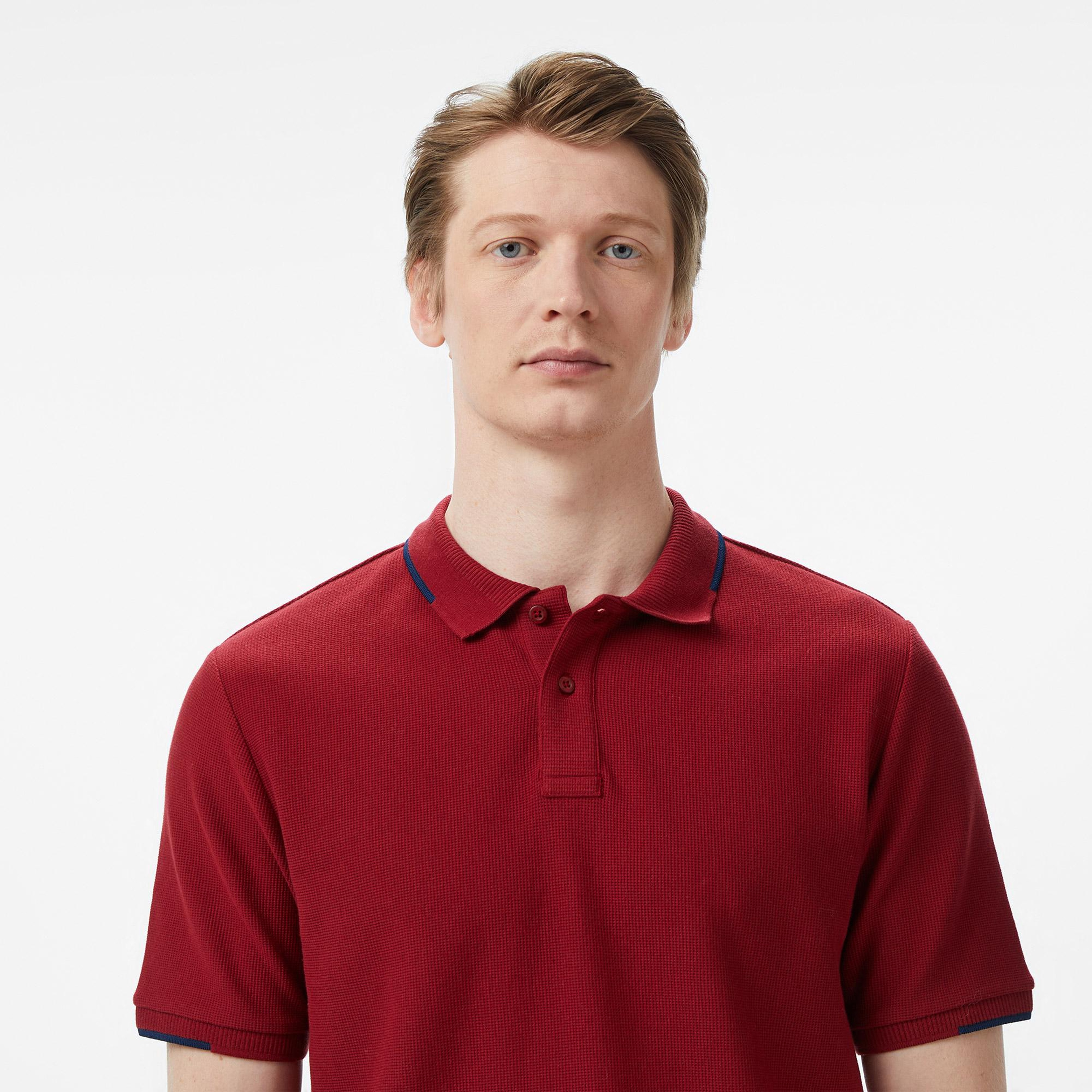 Nautica Erkek Bordo Regular Fit Polo Yaka T-Shirt