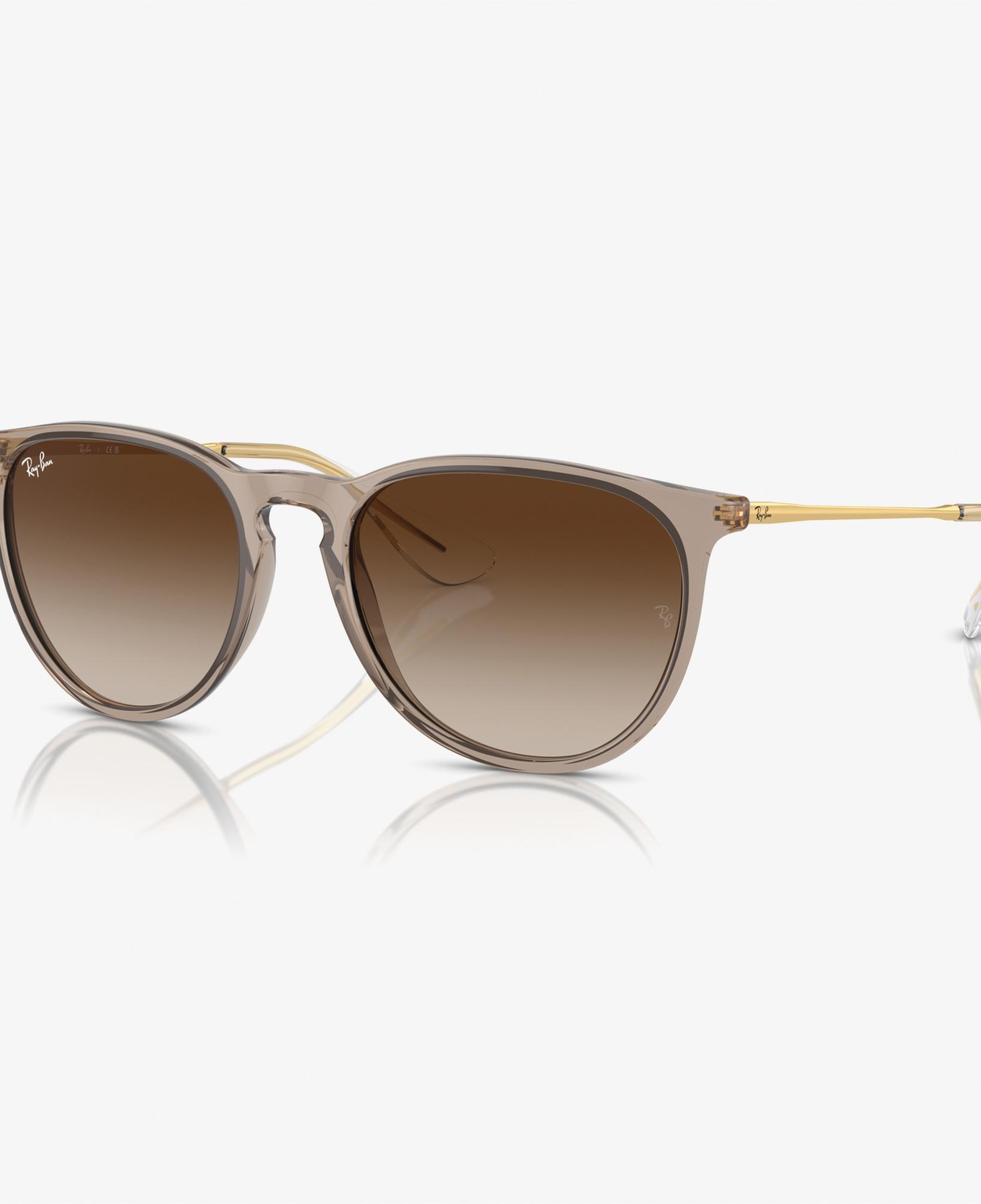 RAY-BAN 0RB4171 Nylon Kadın Kahverengi Güneş Gözlüğü