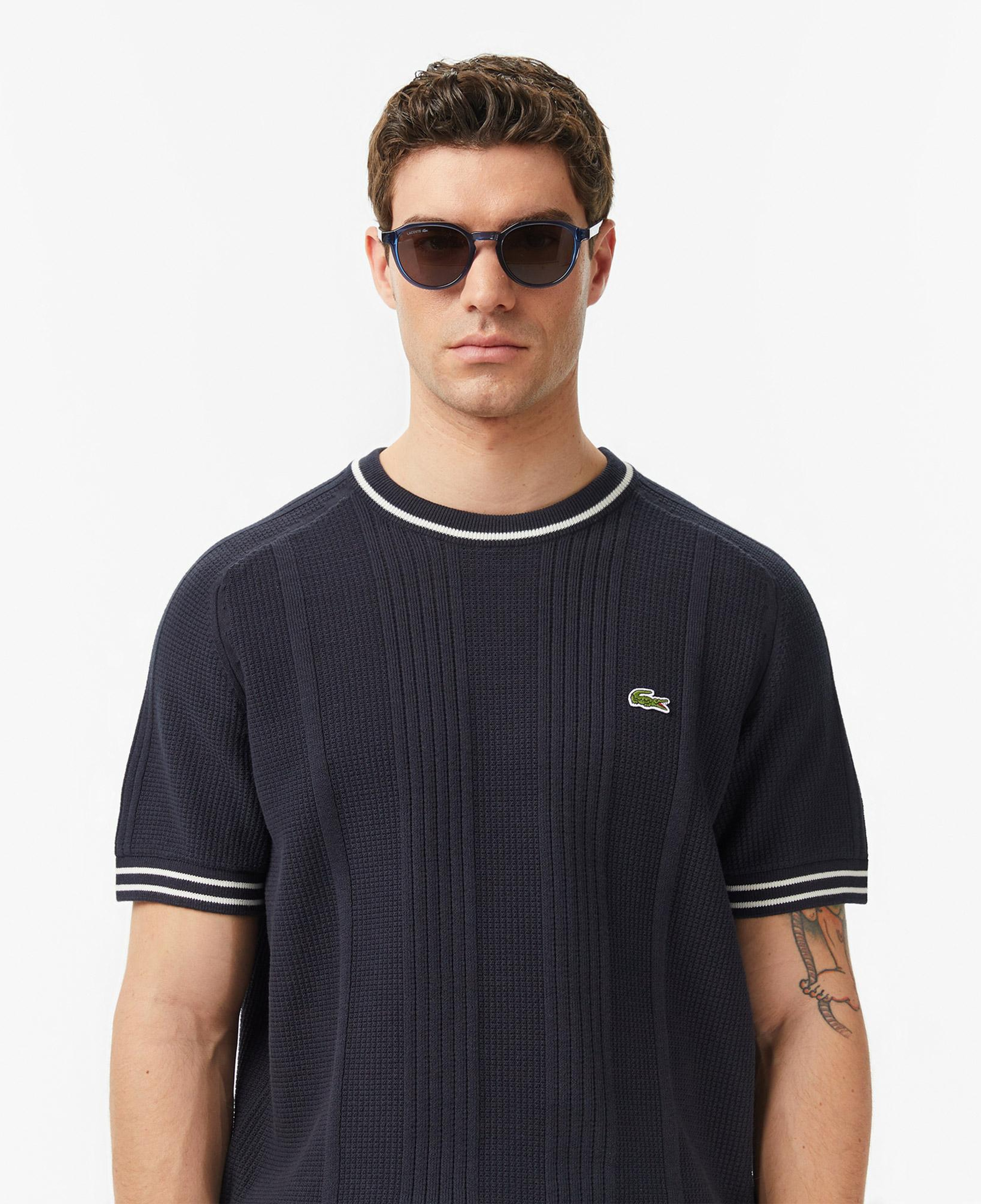 Lacoste Erkek Classic Fit Kısa Kollu Bisiklet Yaka Çizgili Koyu Gri Triko