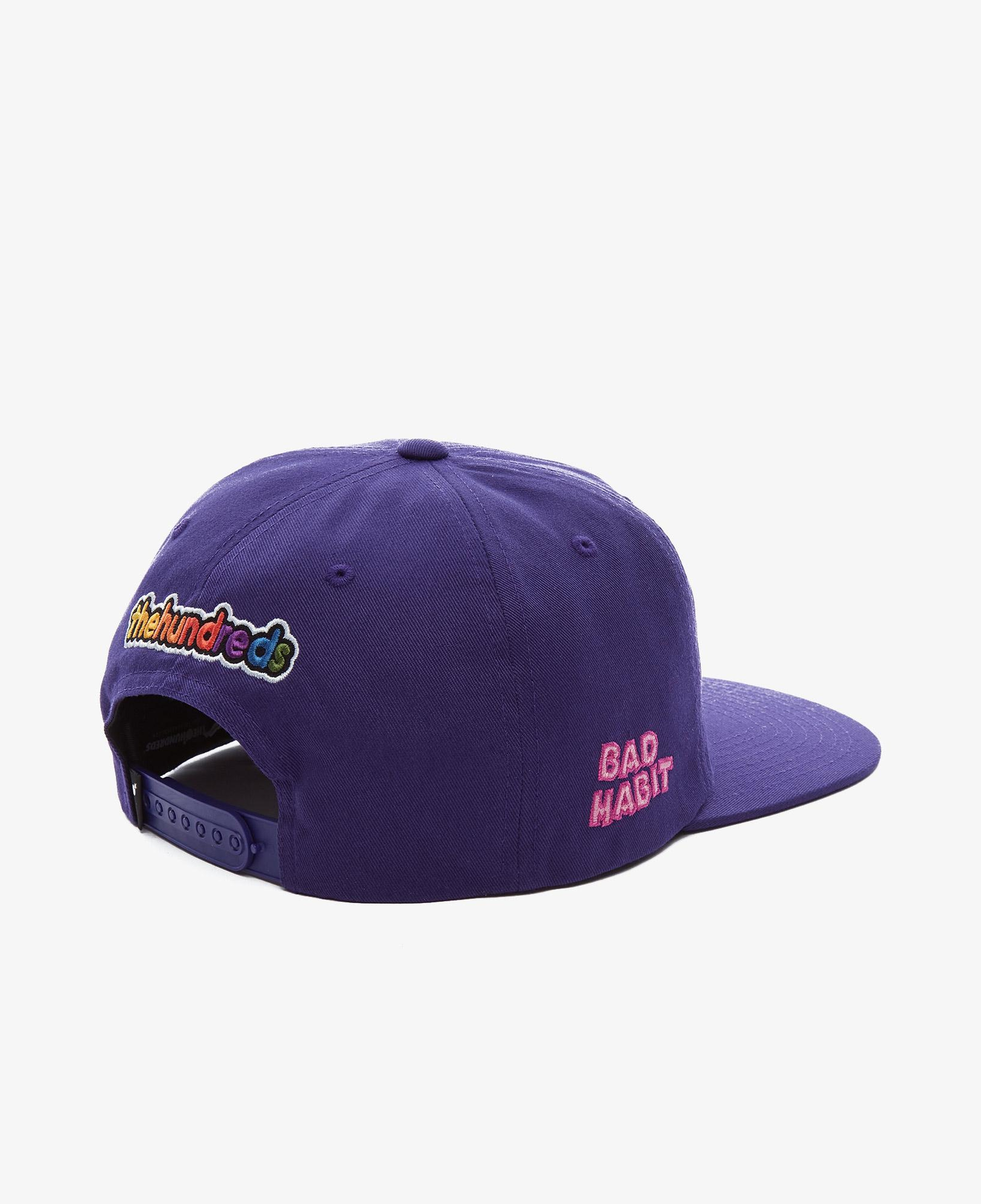 The Hundreds Froots Snapback Erkek Mor Şapka