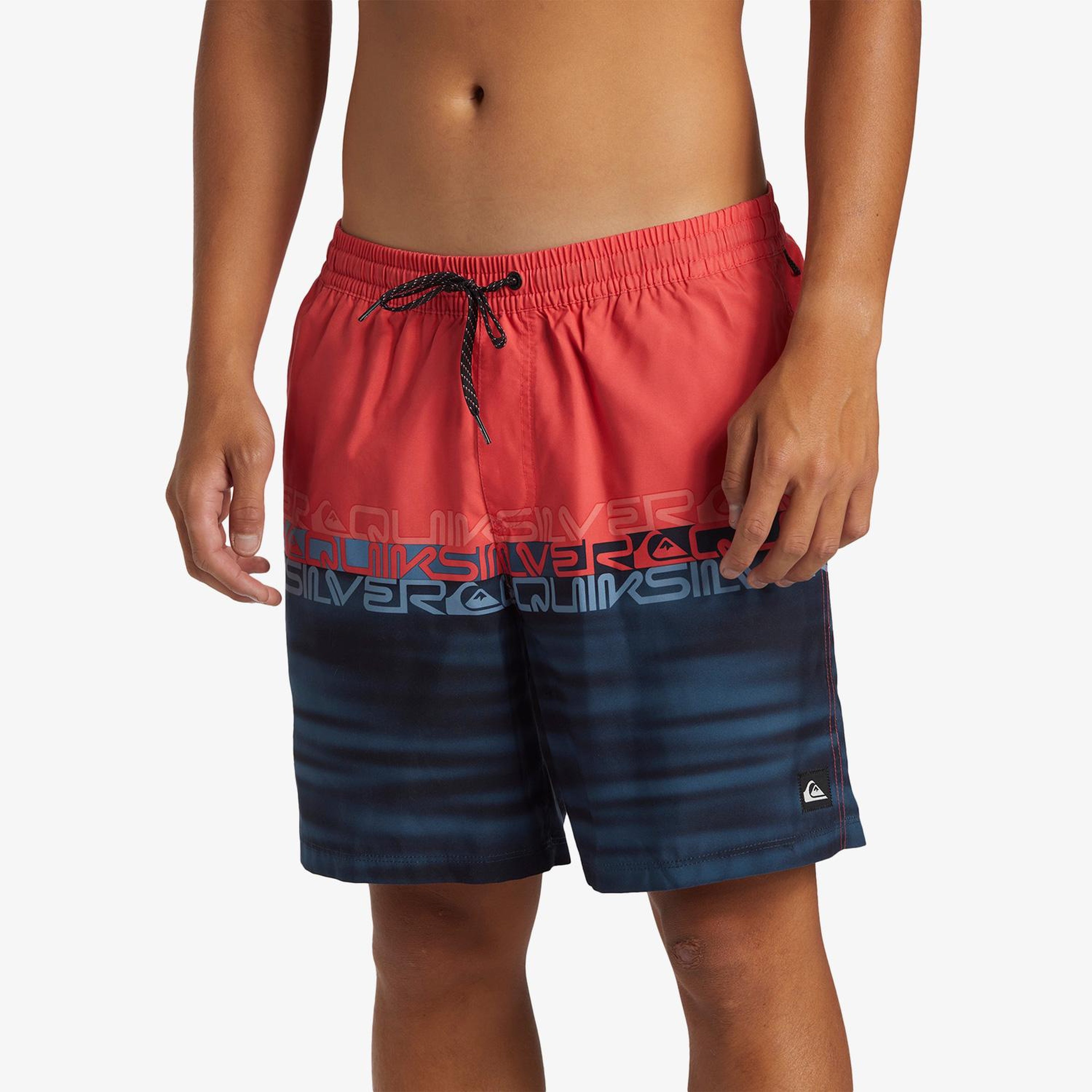 Quiksilver Everyday Erkek Renkli Deniz Şortu