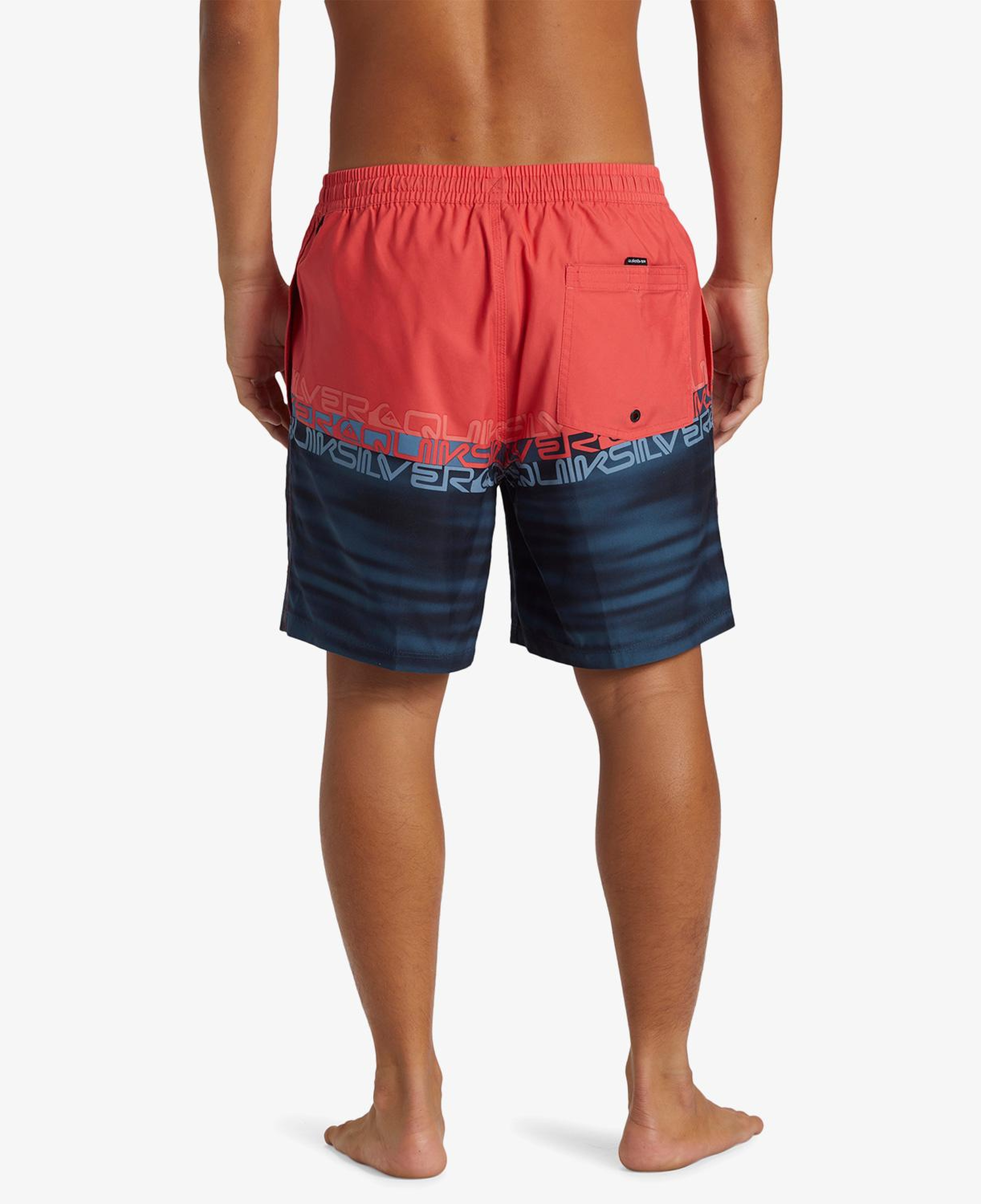 Quiksilver Everyday Erkek Renkli Deniz Şortu