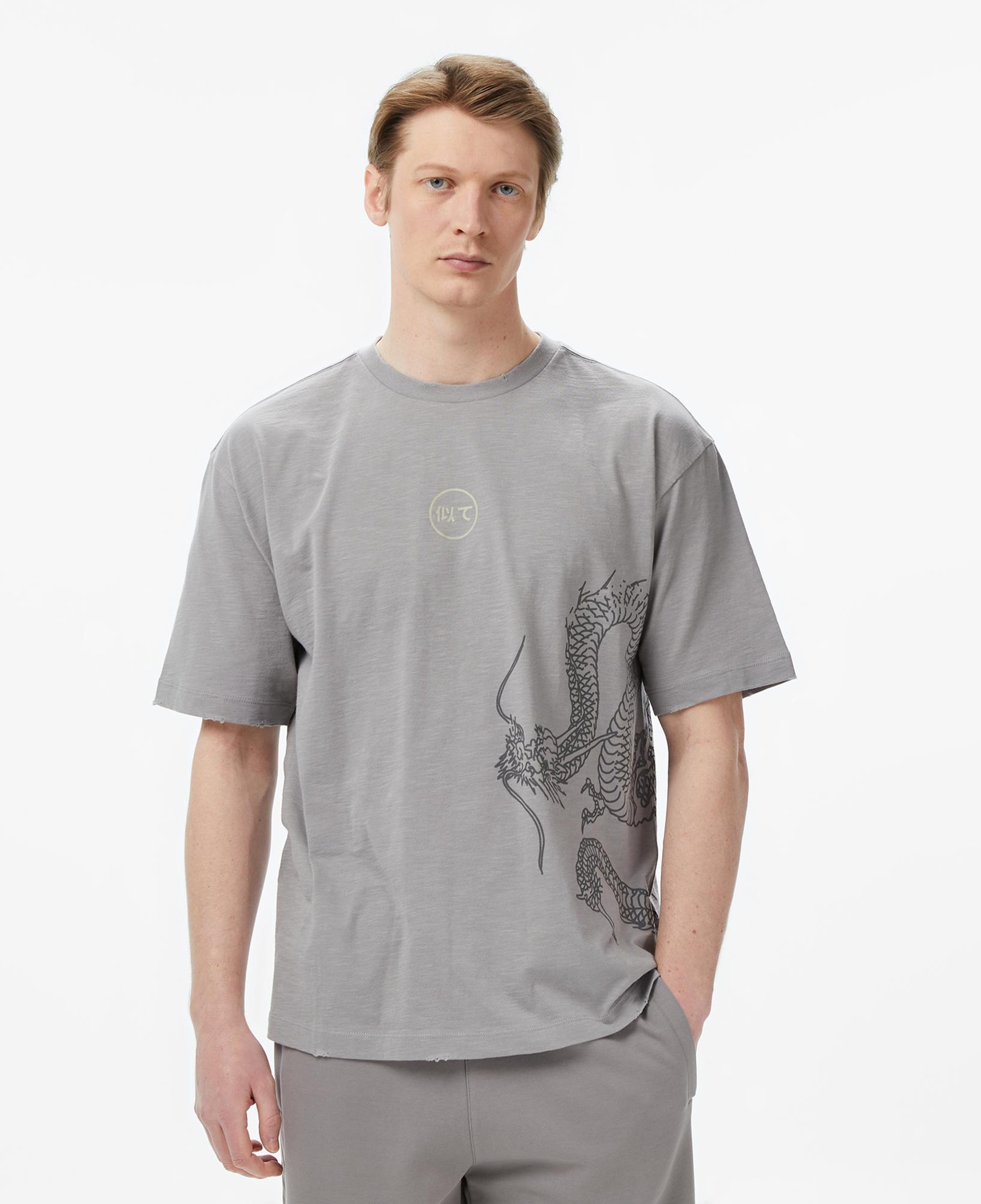 UNITED4 Regular Fit Erkek Gri T-Shirt